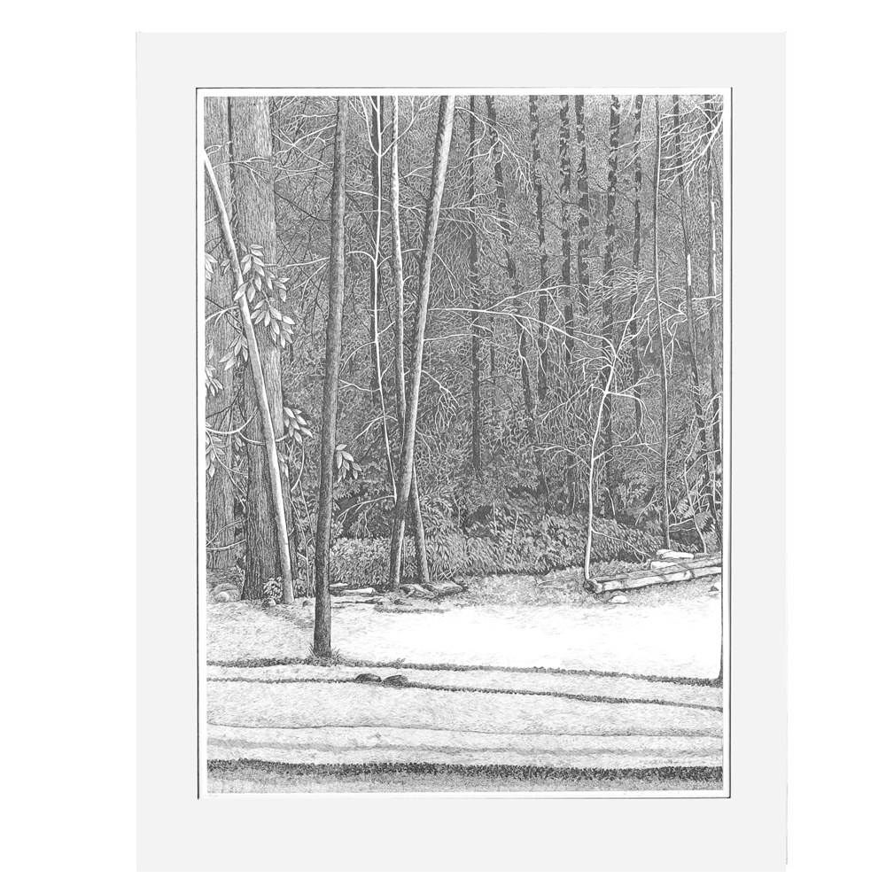 Debbie Lynn Zwiebach Limited Edition "Sunlit Path"