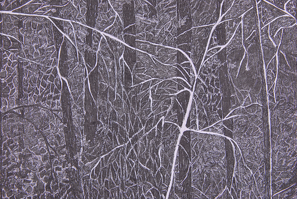 Debbie Lynn Zwiebach Limited Edition "Sunlit Path"