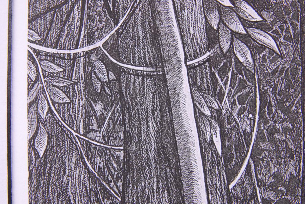 Debbie Lynn Zwiebach Limited Edition "Sunlit Path"