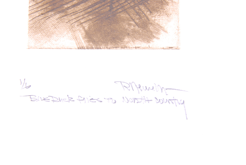 Robert Lewellyn Intaglio Print "Blue Duck Flies To North Country"