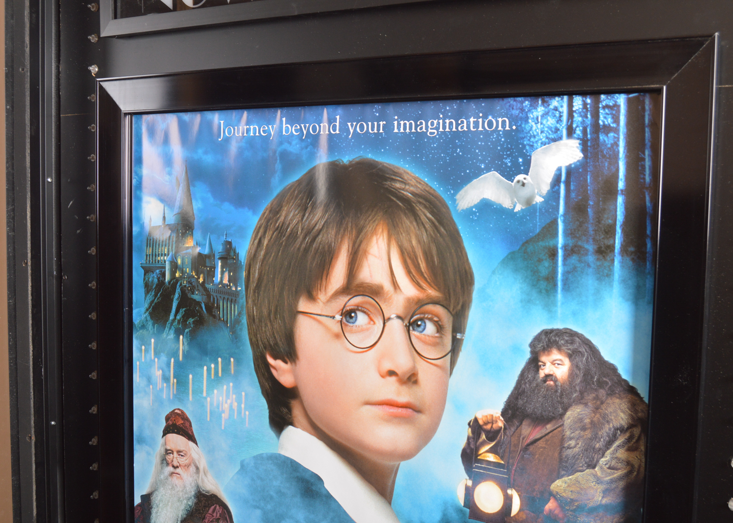 "Harry Potter and the Philosopher's Stone" Lighted Film Display