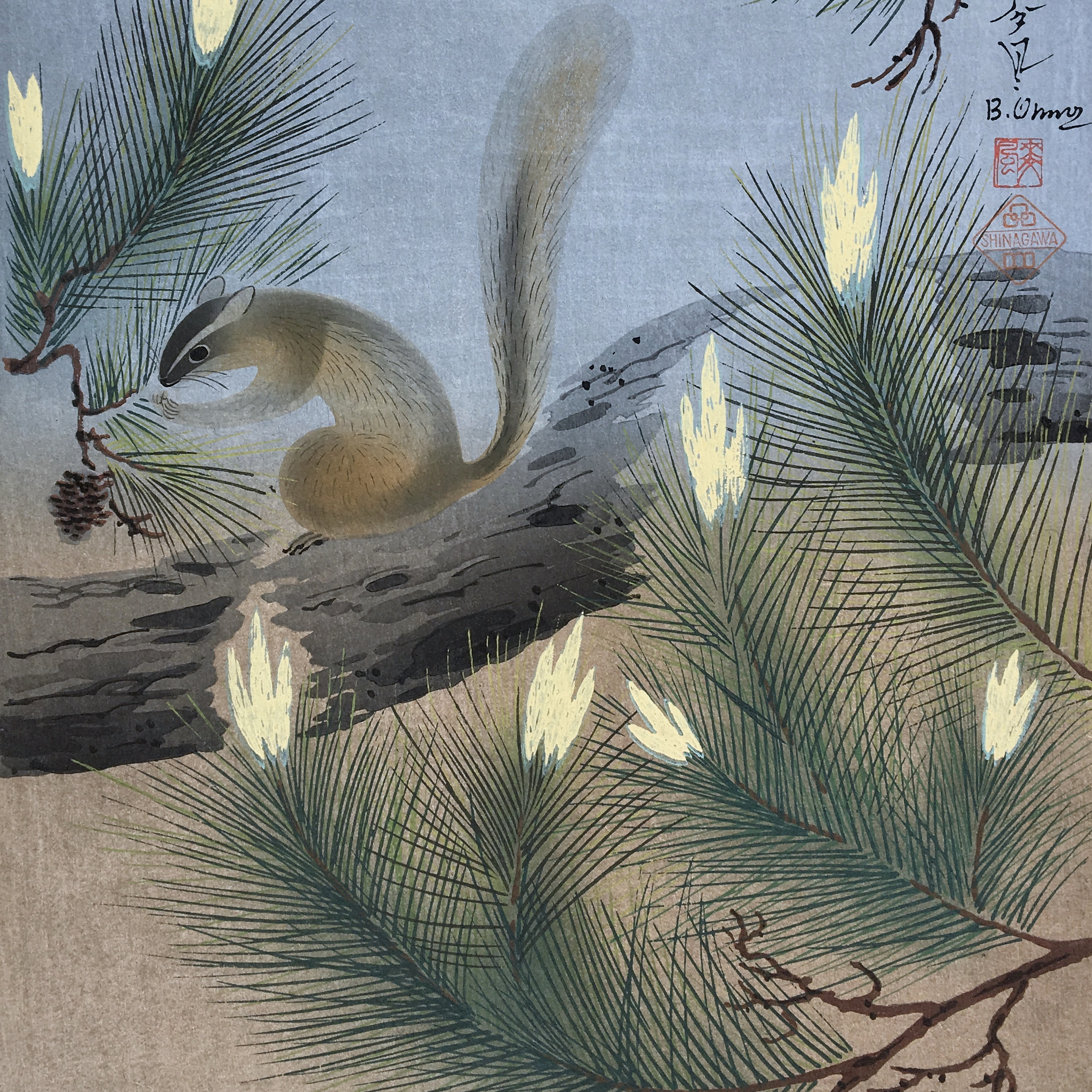 Squirrel in a Pine Tree by Bakufu Ohno, 1951