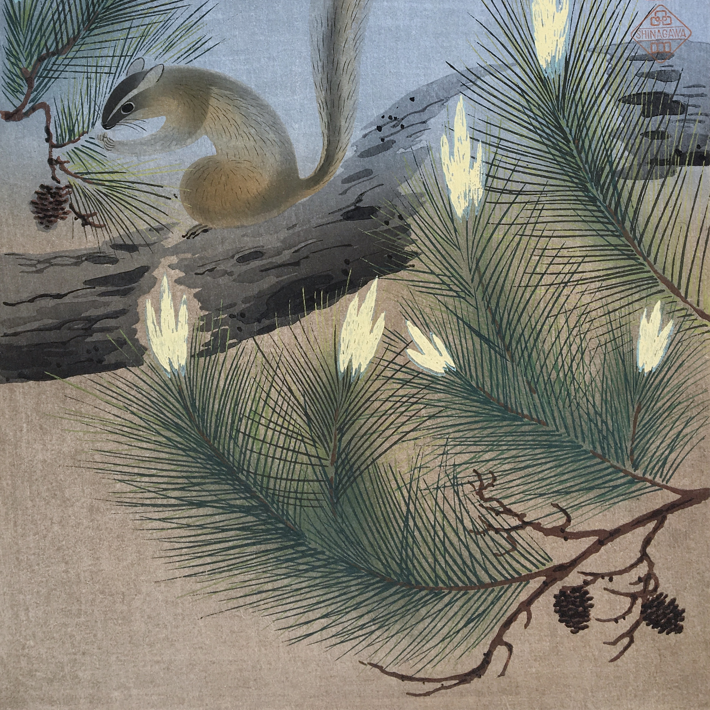 Squirrel in a Pine Tree by Bakufu Ohno, 1951