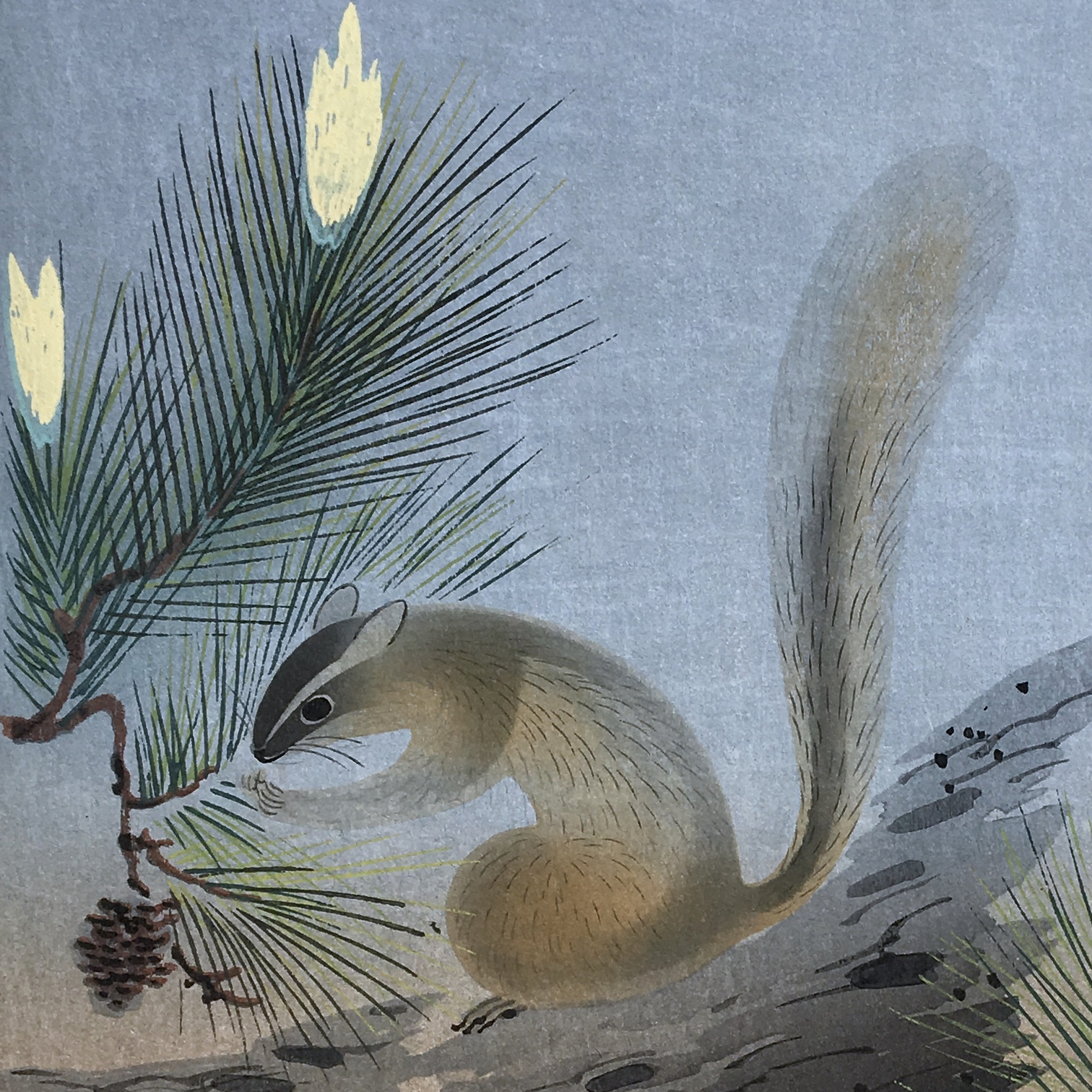 Squirrel in a Pine Tree by Bakufu Ohno, 1951