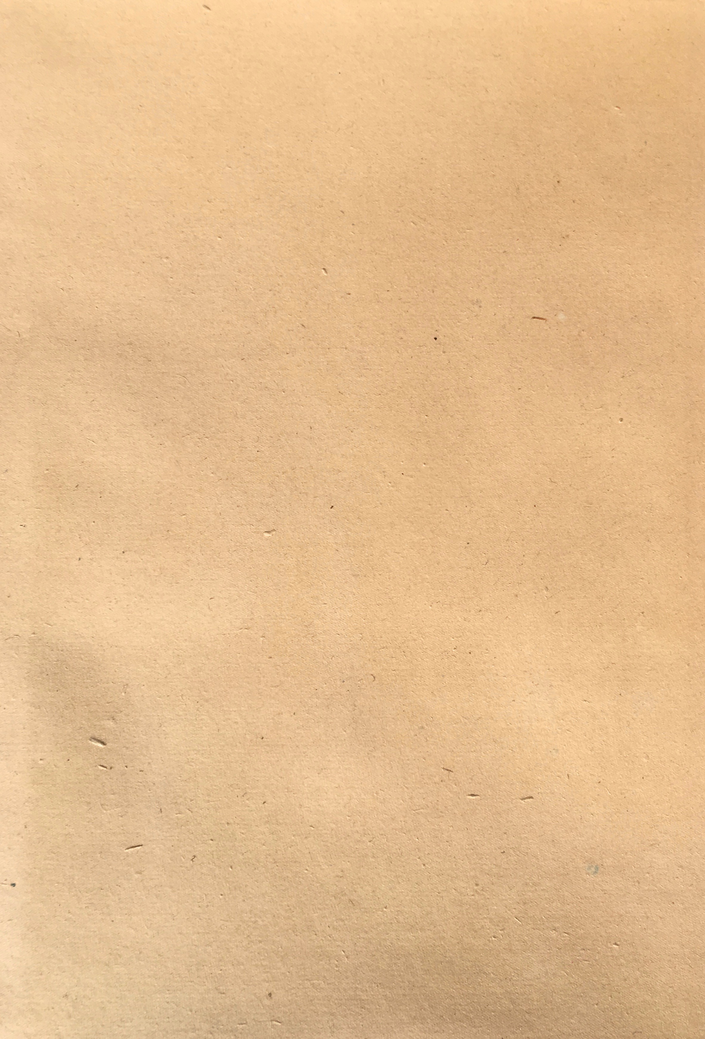 Squirrel in a Pine Tree by Bakufu Ohno, 1951