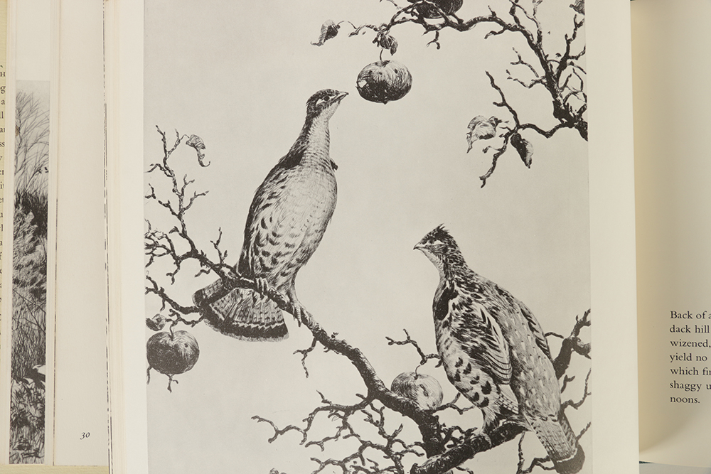 Aiden Lassell Ripley Watercolor Painting