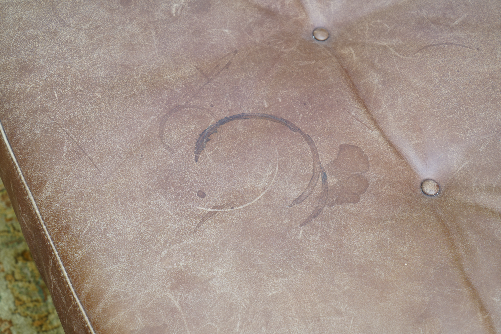 Contemporary Leather Bench by Pottery Barn