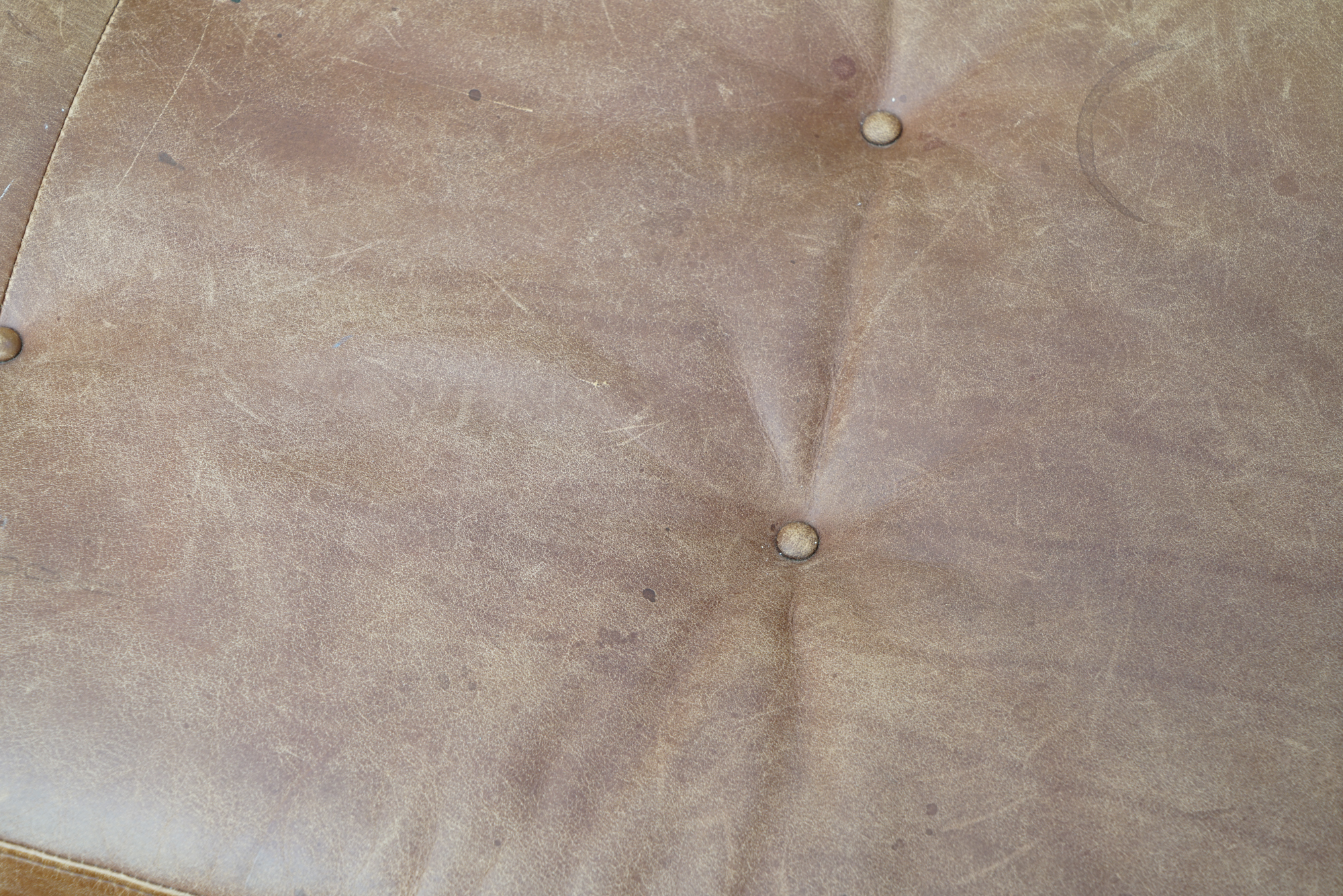 Contemporary Leather Bench by Pottery Barn