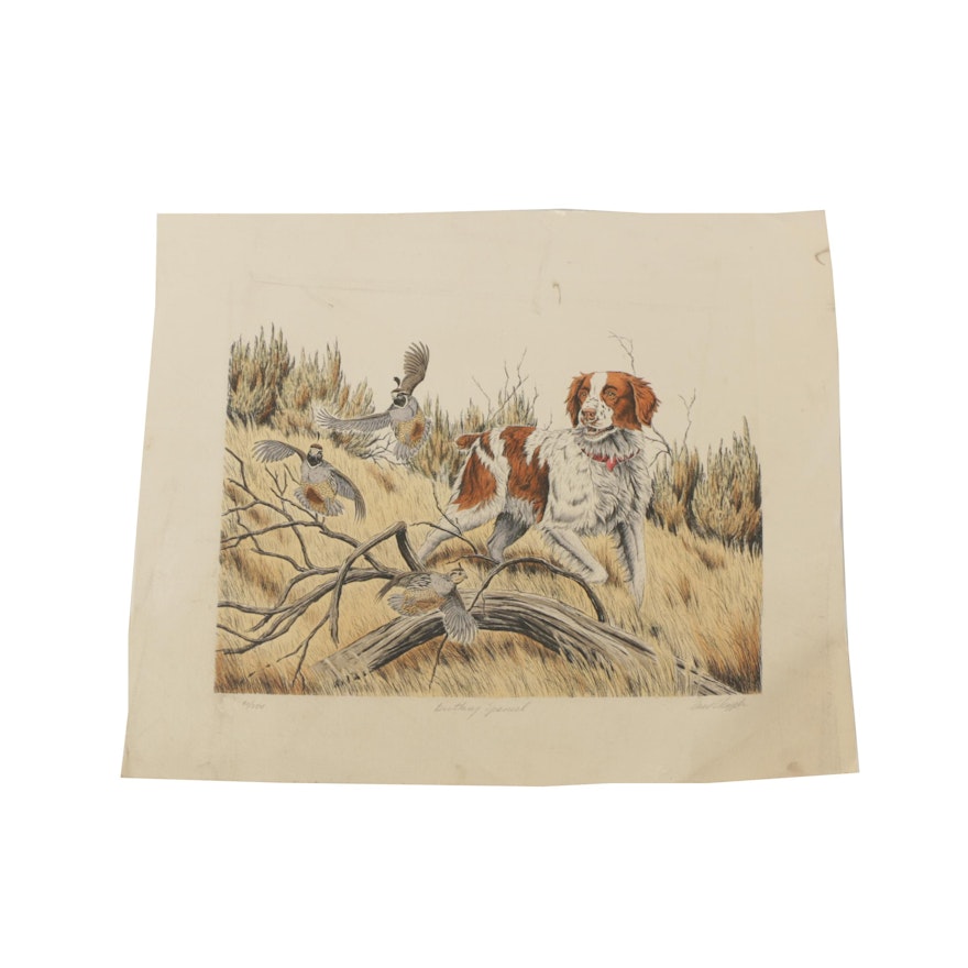 David Chapple Color Etching "Brittany Spaniel"