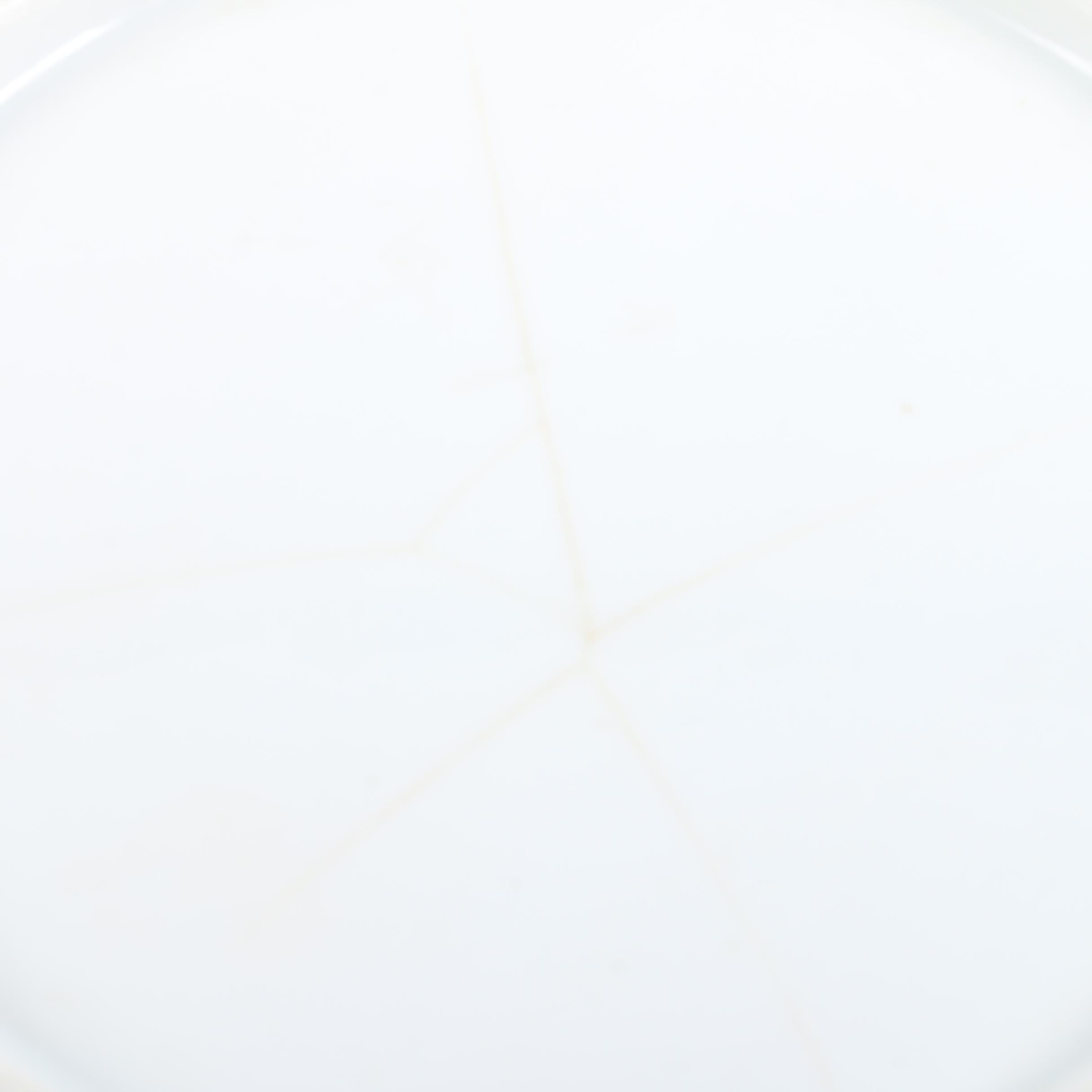 Vintage Porcelain Floral Bowl