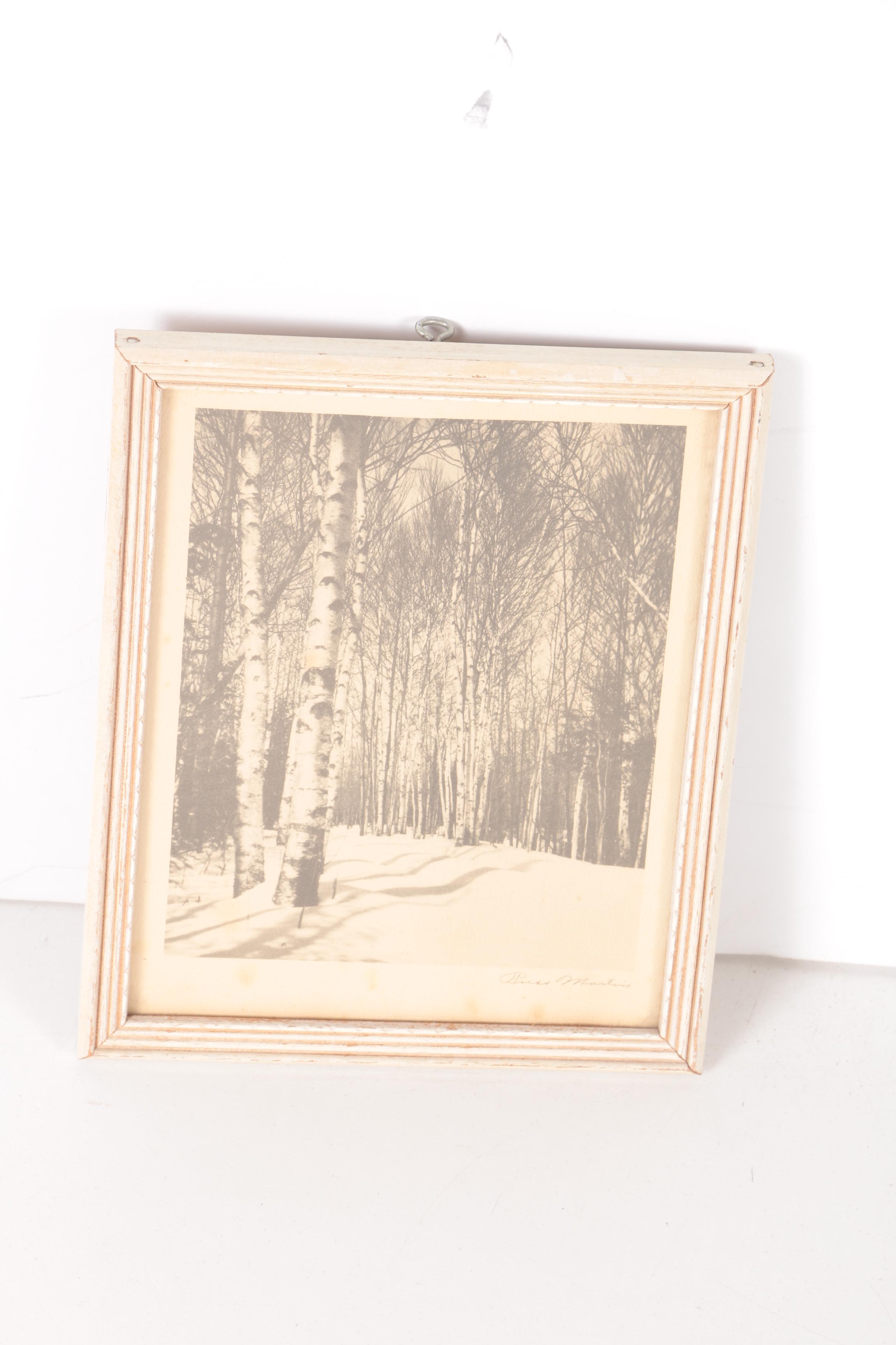 Three Halftone Prints on Paper After Russ Martin Nature Photos