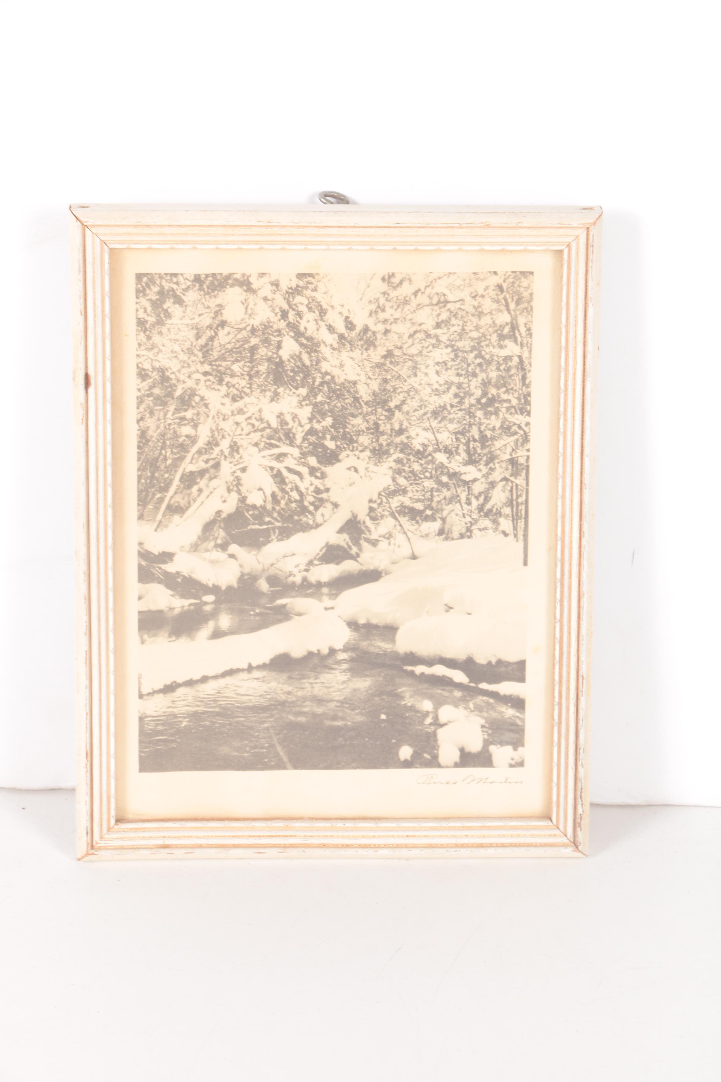 Three Halftone Prints on Paper After Russ Martin Nature Photos