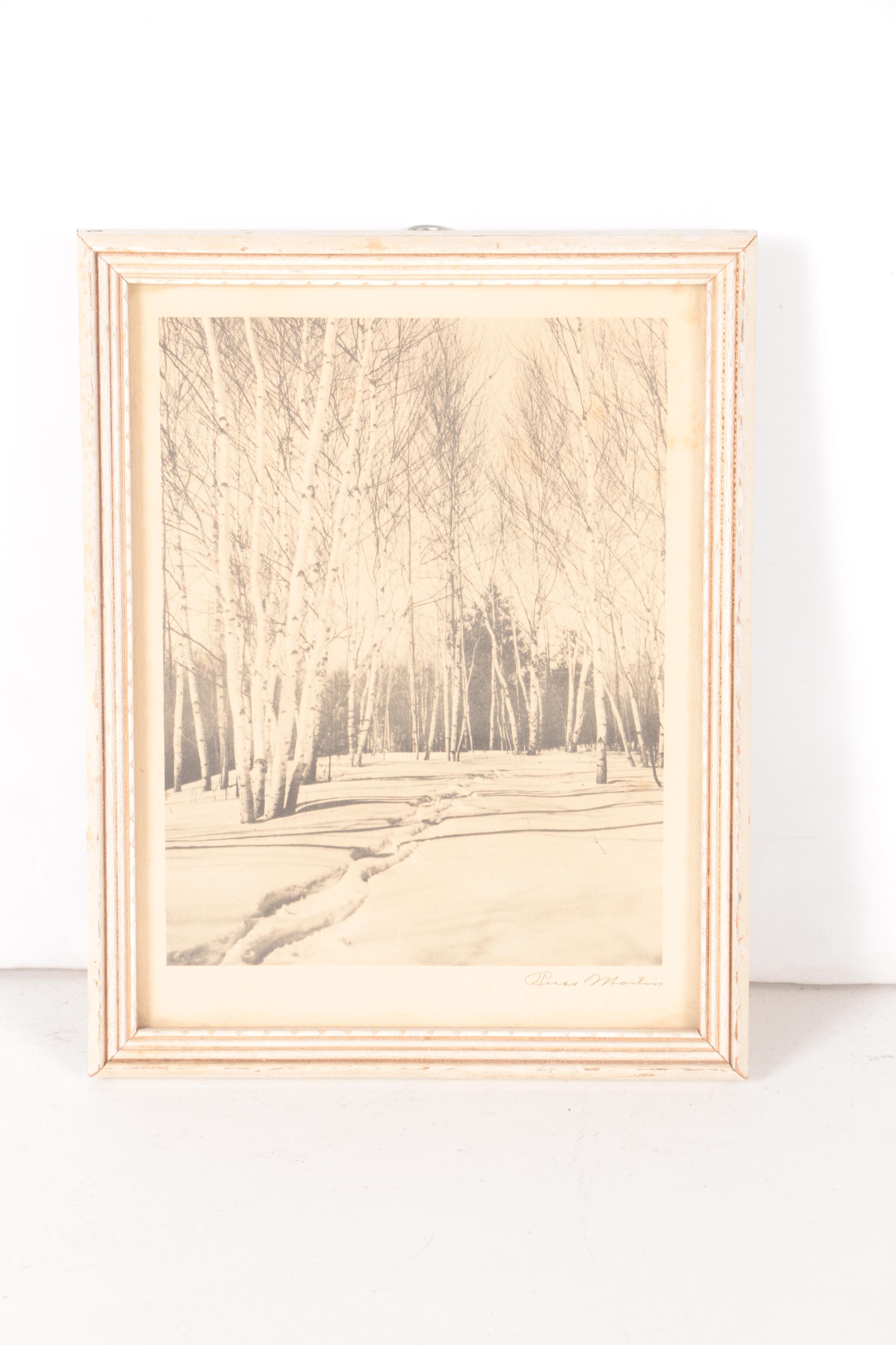 Three Halftone Prints on Paper After Russ Martin Nature Photos