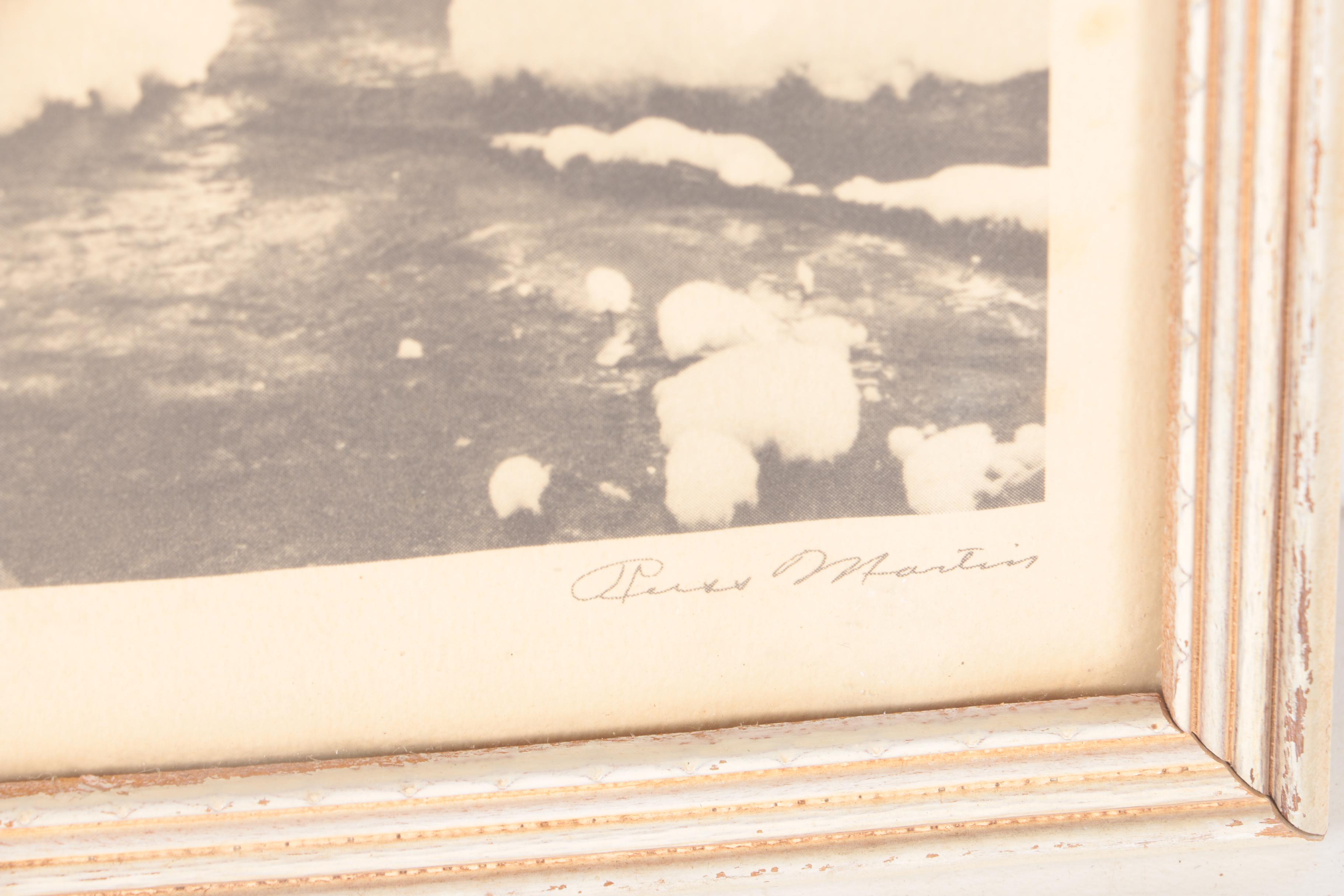 Three Halftone Prints on Paper After Russ Martin Nature Photos