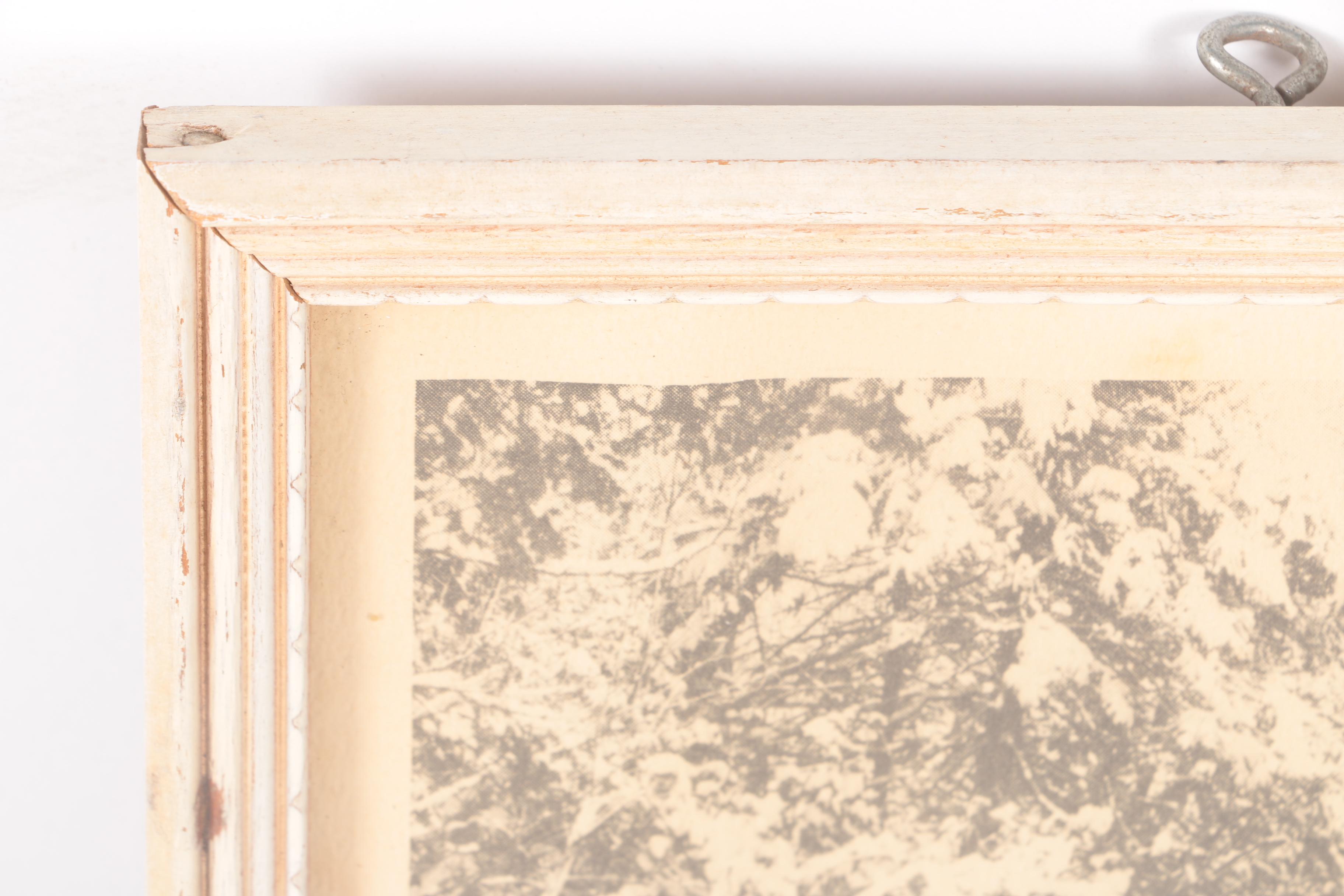 Three Halftone Prints on Paper After Russ Martin Nature Photos