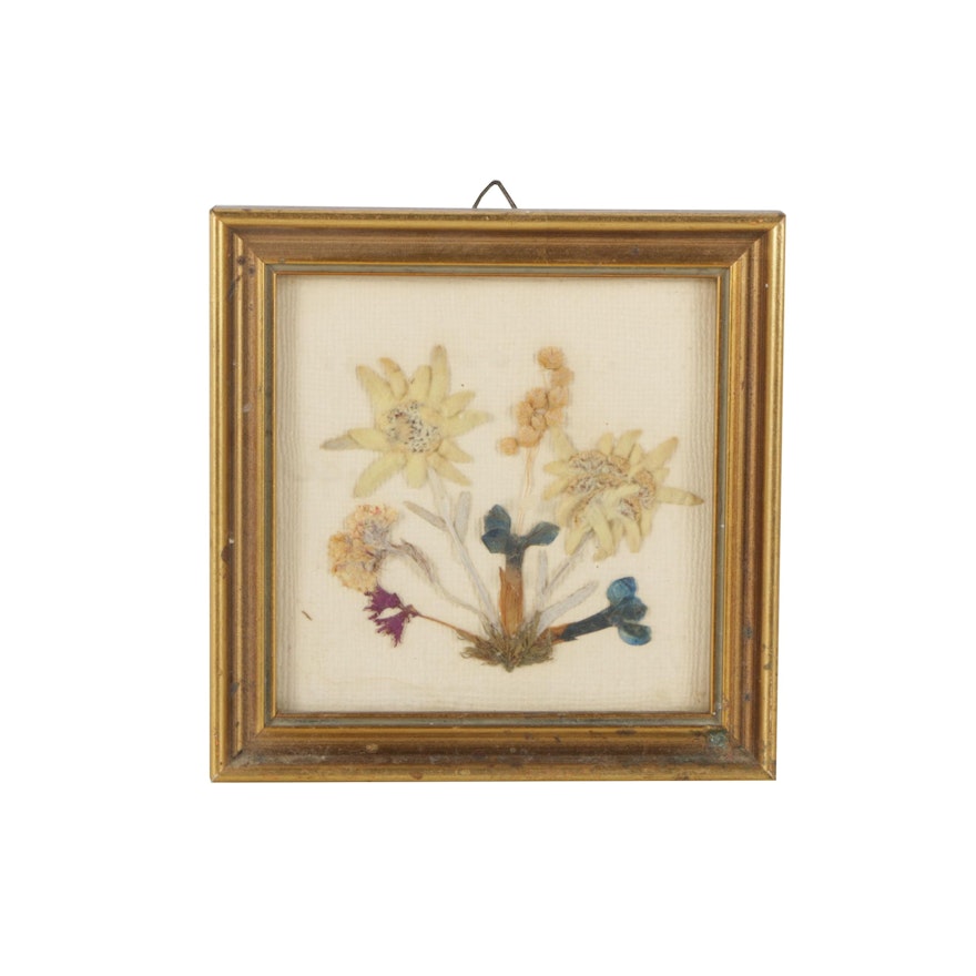 Framed Display of Pressed Flowers