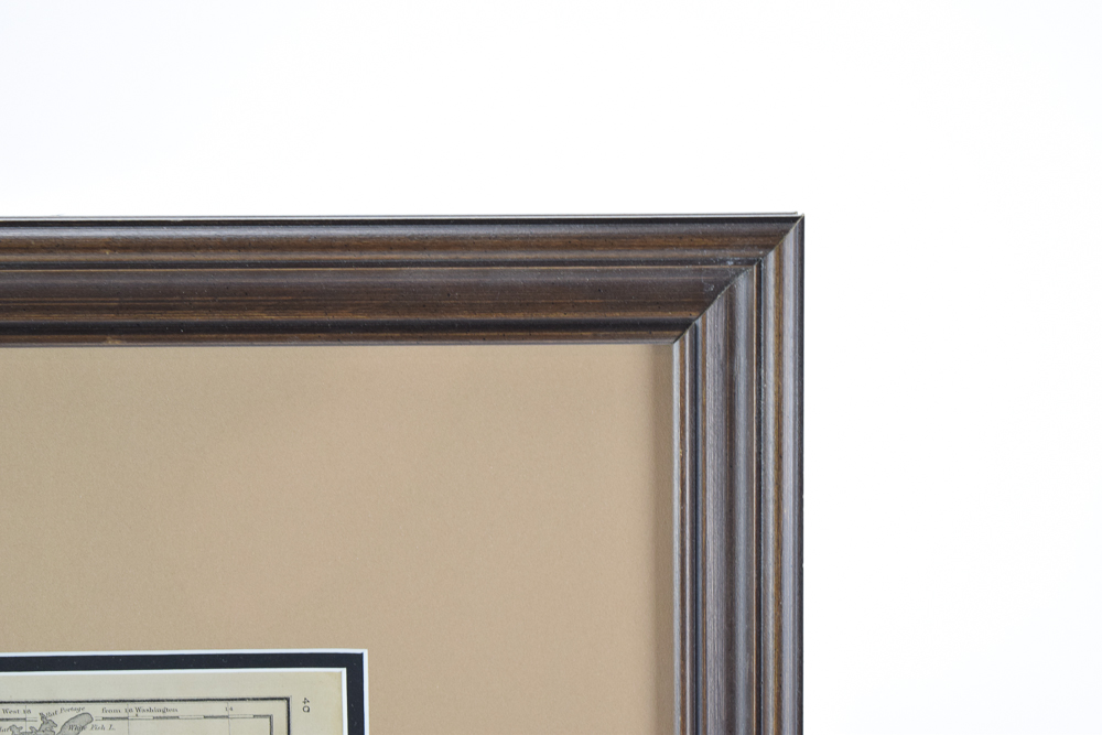 Circa 1860s Map of Minnesota from "McNally's System of Geography"