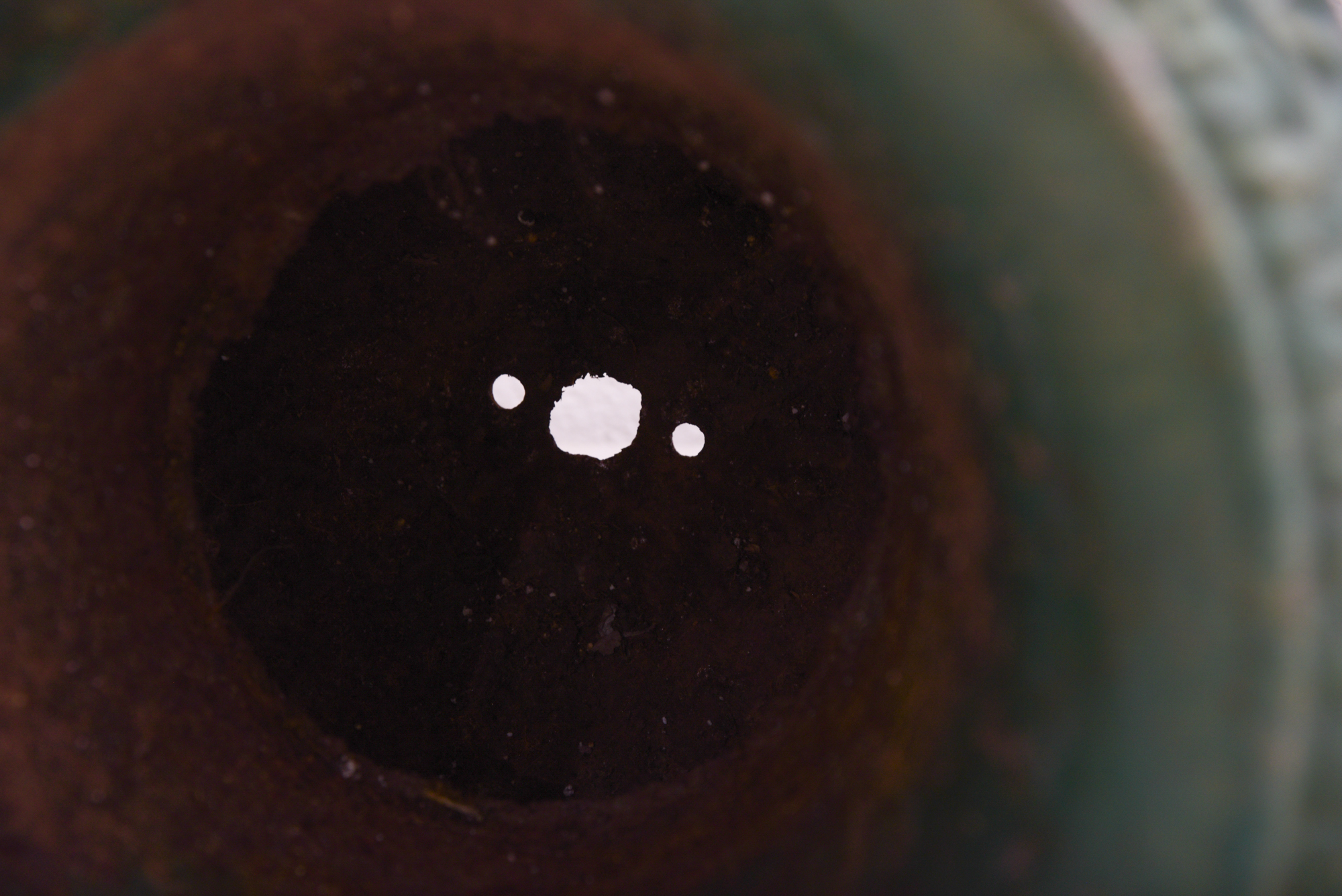 Green Painted Classical Style Cast Iron Planters