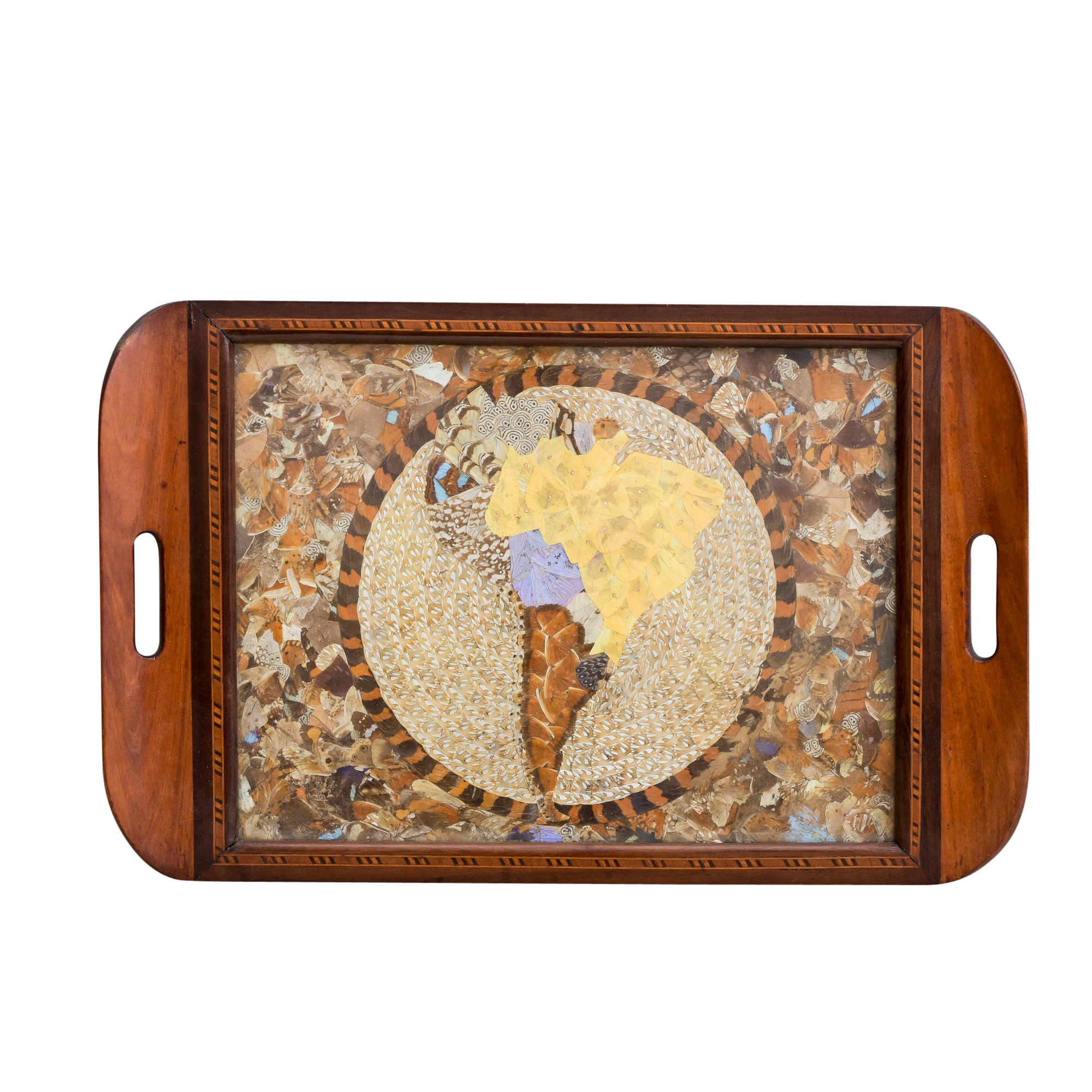 Butterfly Wing Collage Serving Tray Depicting Depicting South America