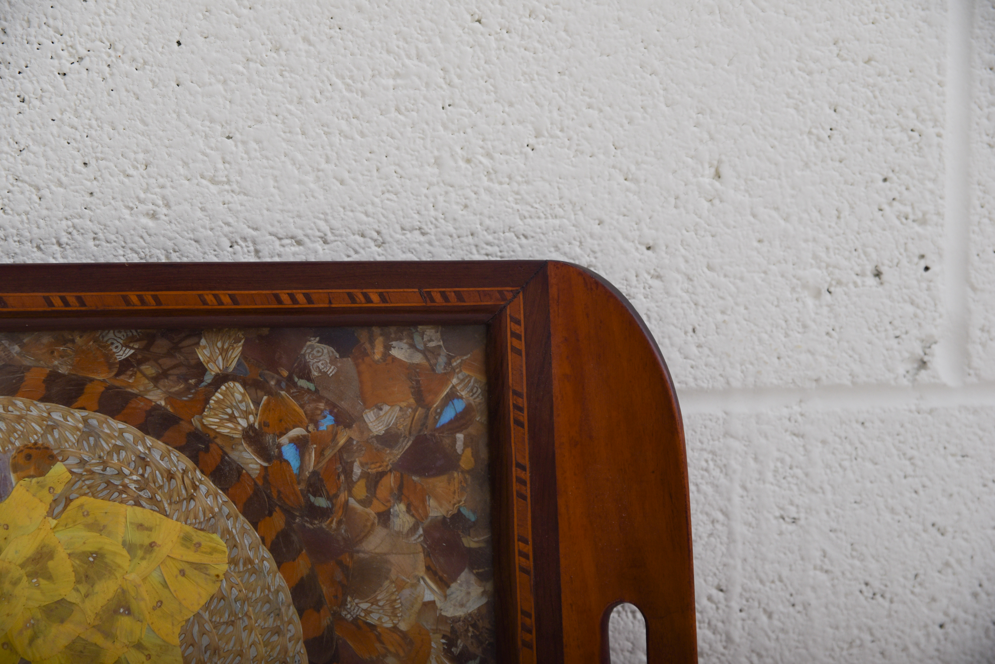 Butterfly Wing Collage Serving Tray Depicting Depicting South America