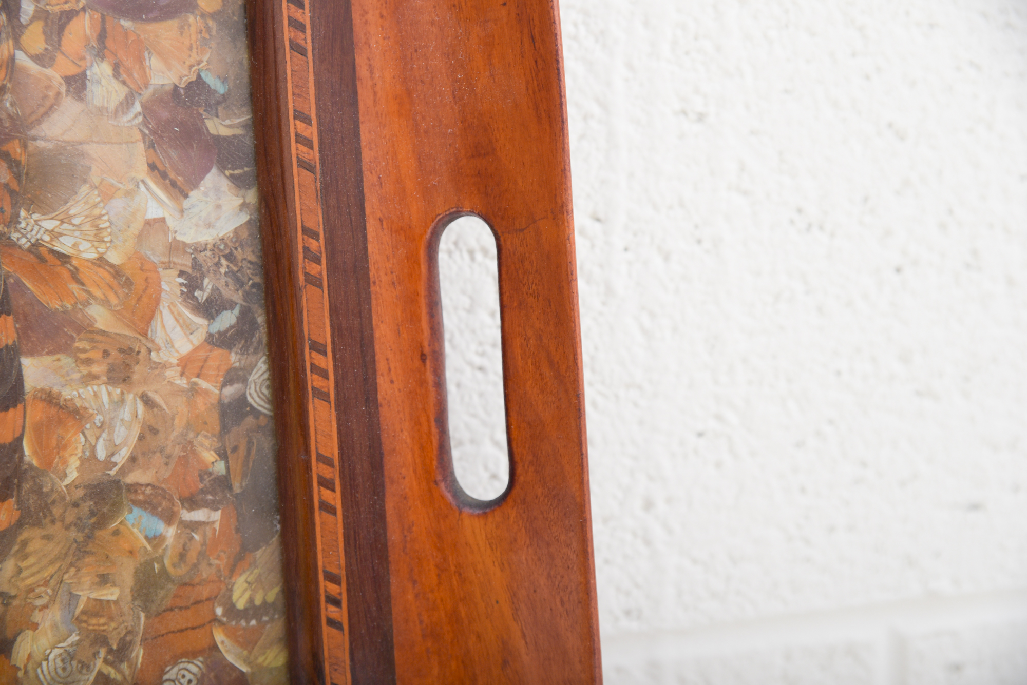 Butterfly Wing Collage Serving Tray Depicting Depicting South America