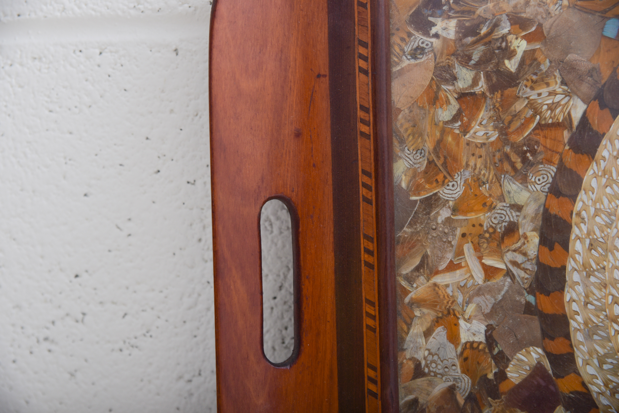 Butterfly Wing Collage Serving Tray Depicting Depicting South America