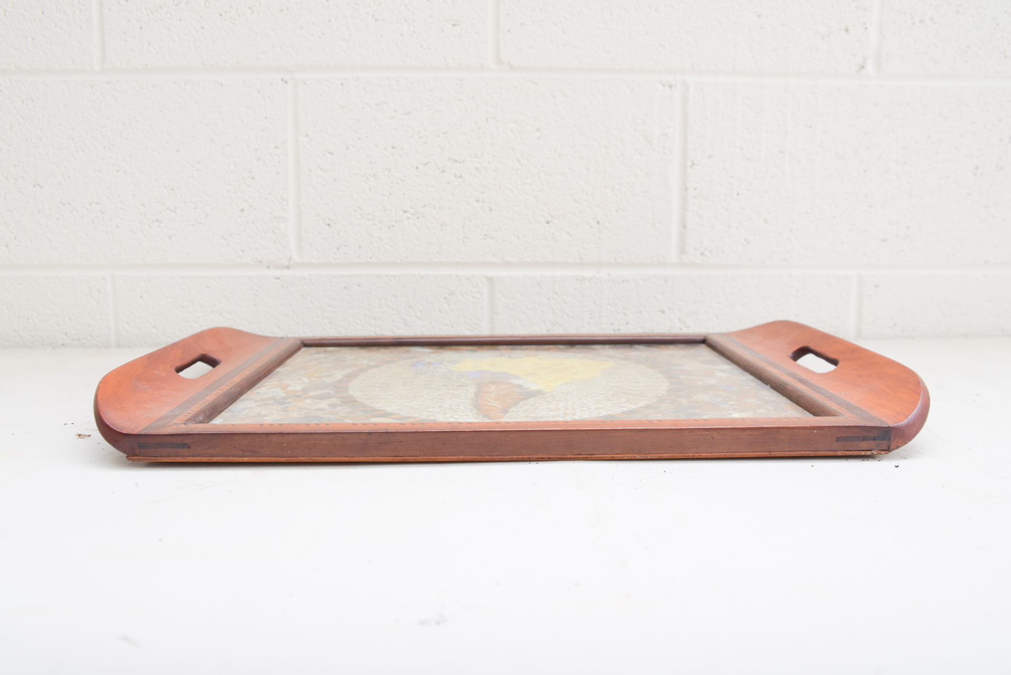 Butterfly Wing Collage Serving Tray Depicting Depicting South America