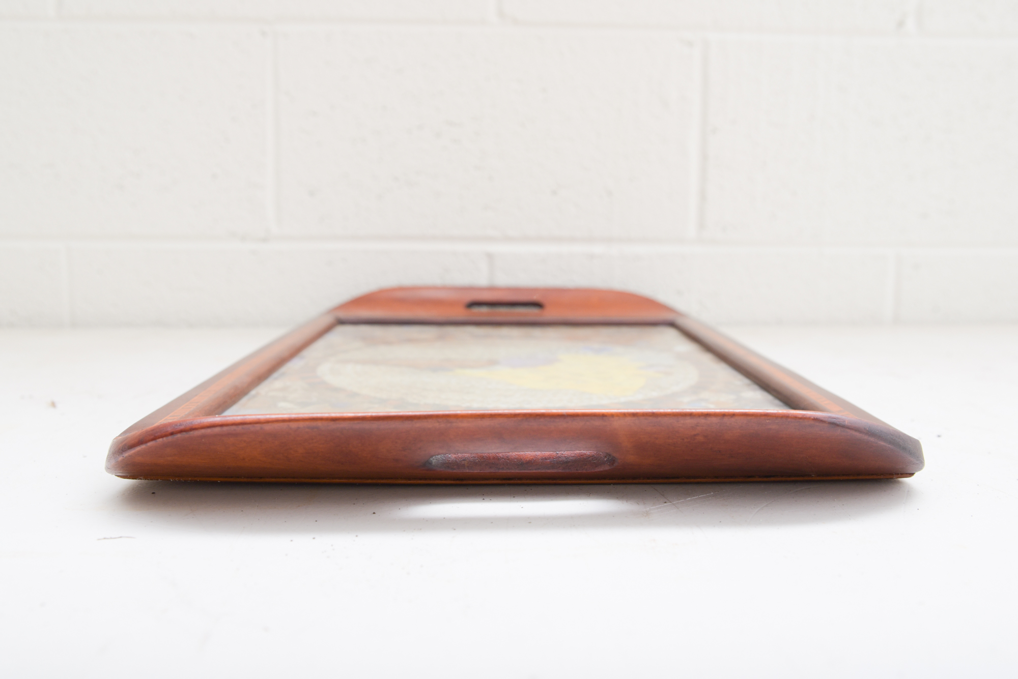 Butterfly Wing Collage Serving Tray Depicting Depicting South America