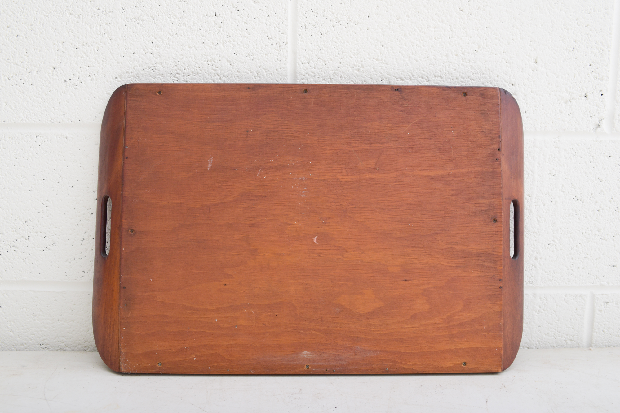 Butterfly Wing Collage Serving Tray Depicting Depicting South America