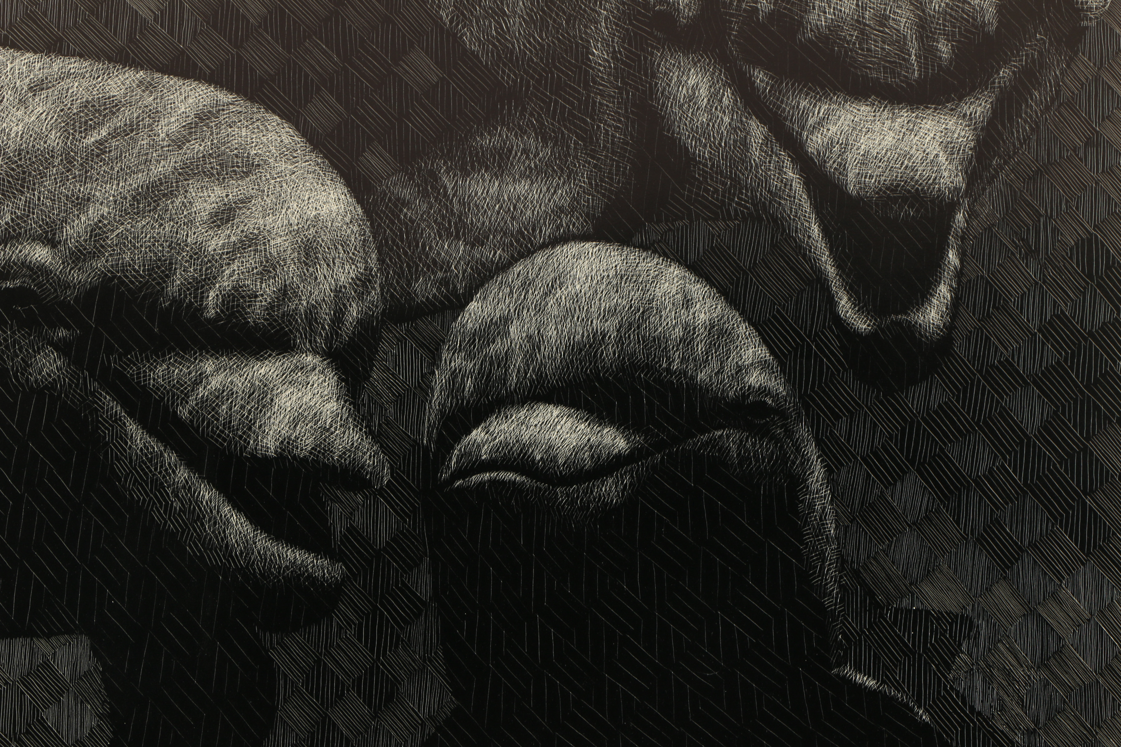 John Ballou Scratchboard Drawing