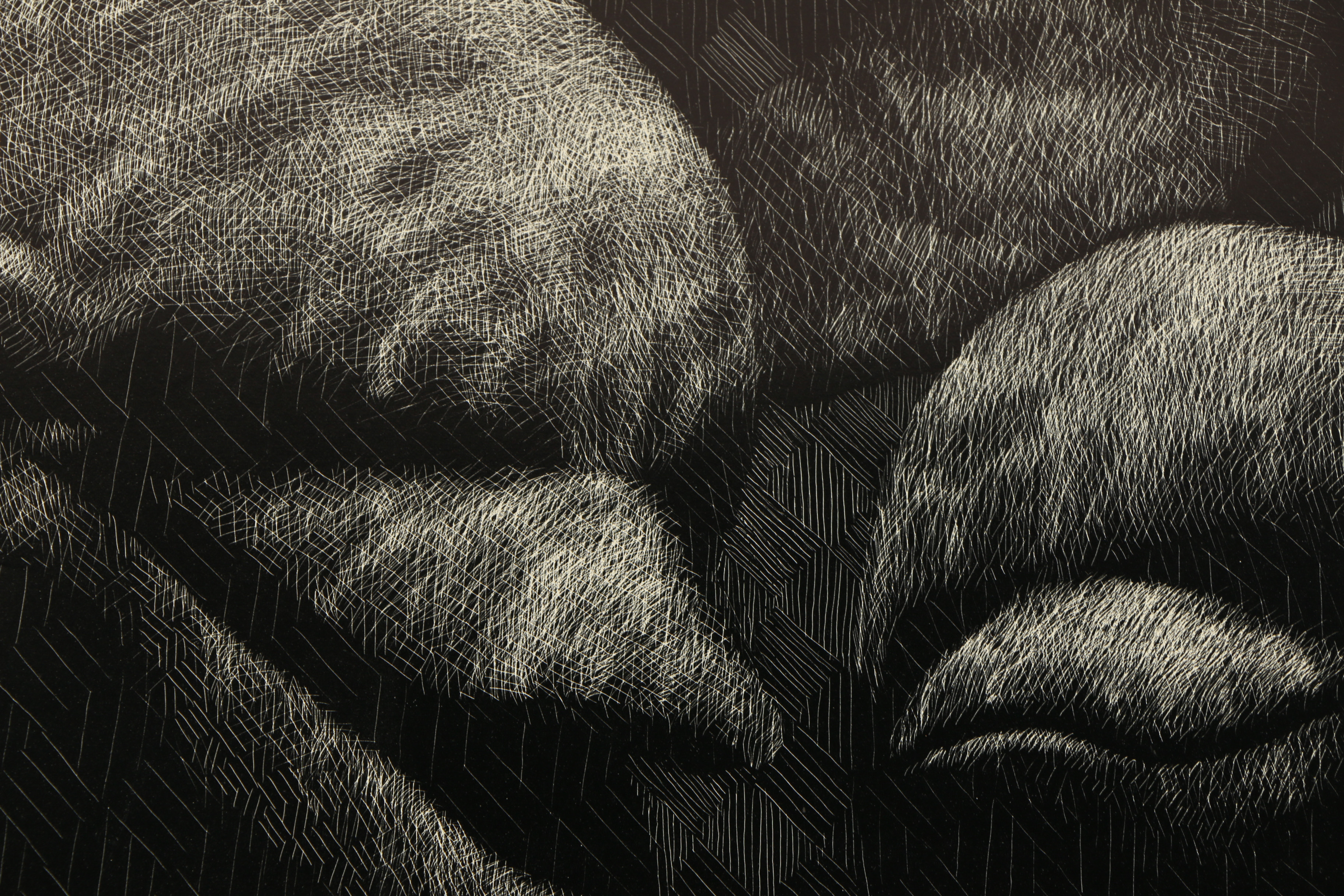 John Ballou Scratchboard Drawing