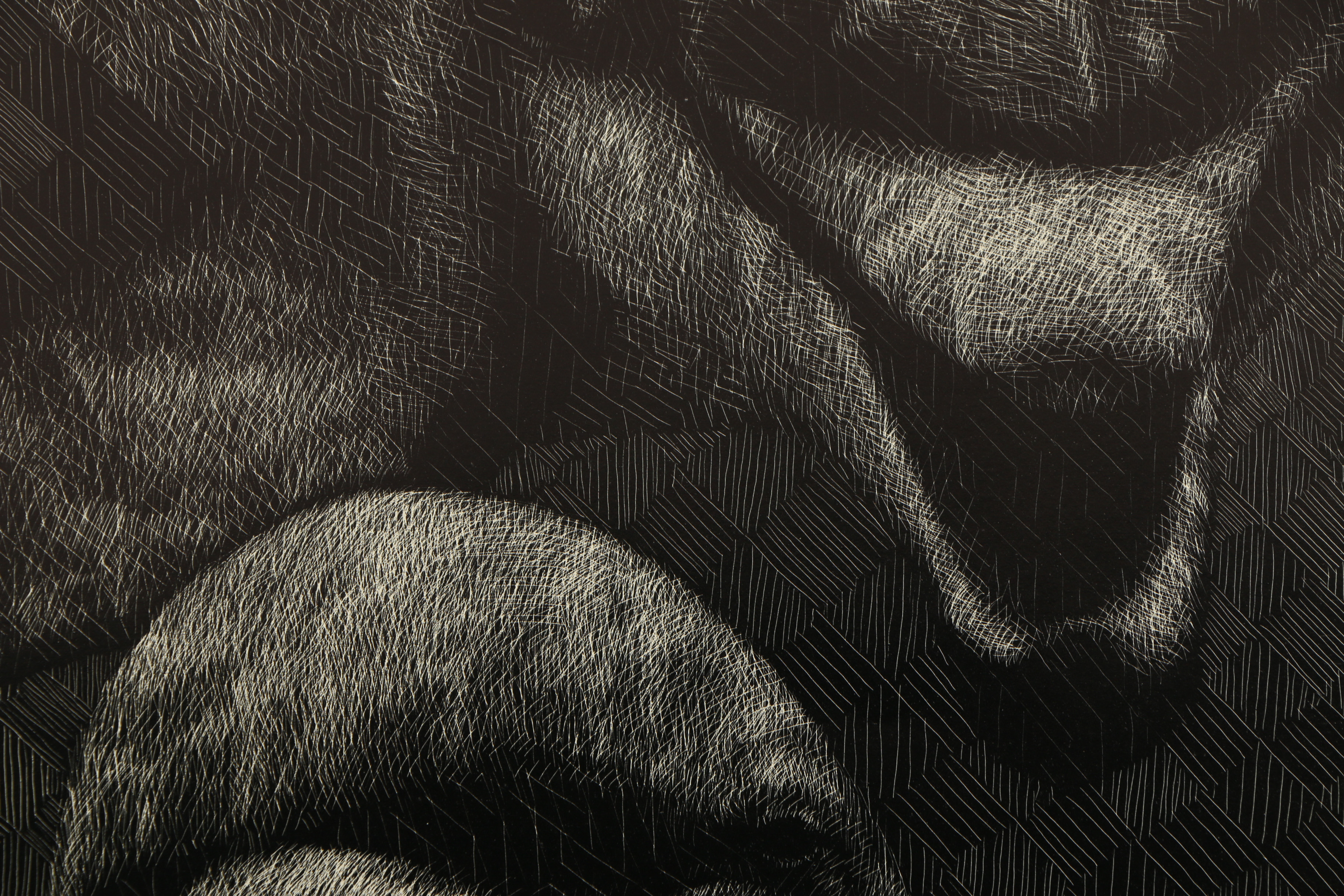 John Ballou Scratchboard Drawing