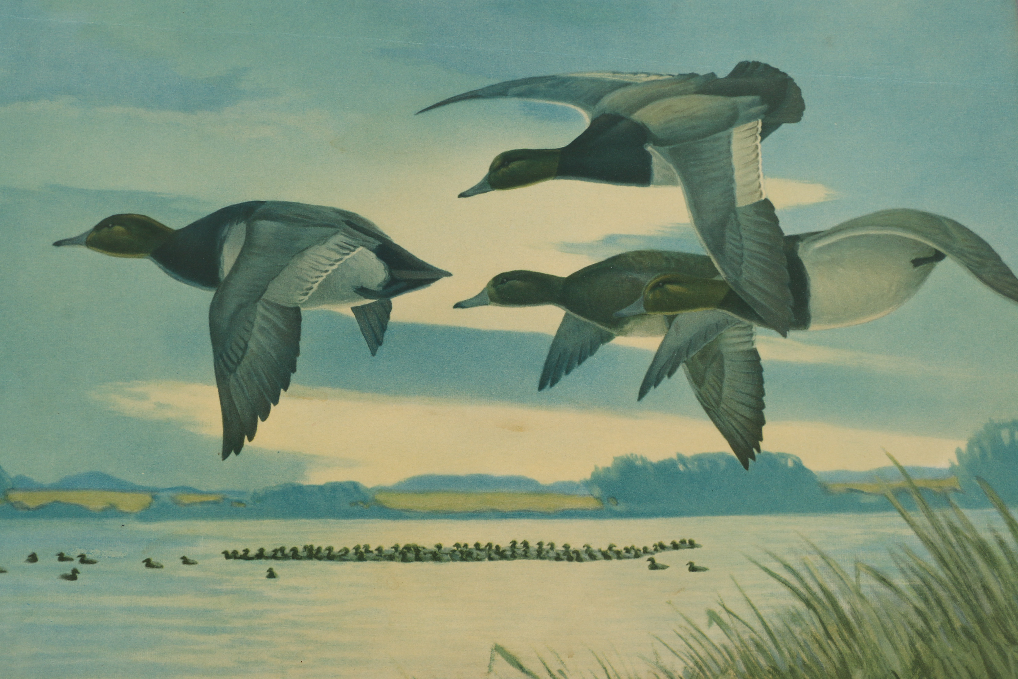 1937 Offset Lithograph After Bertram Bruestle "Heading South"