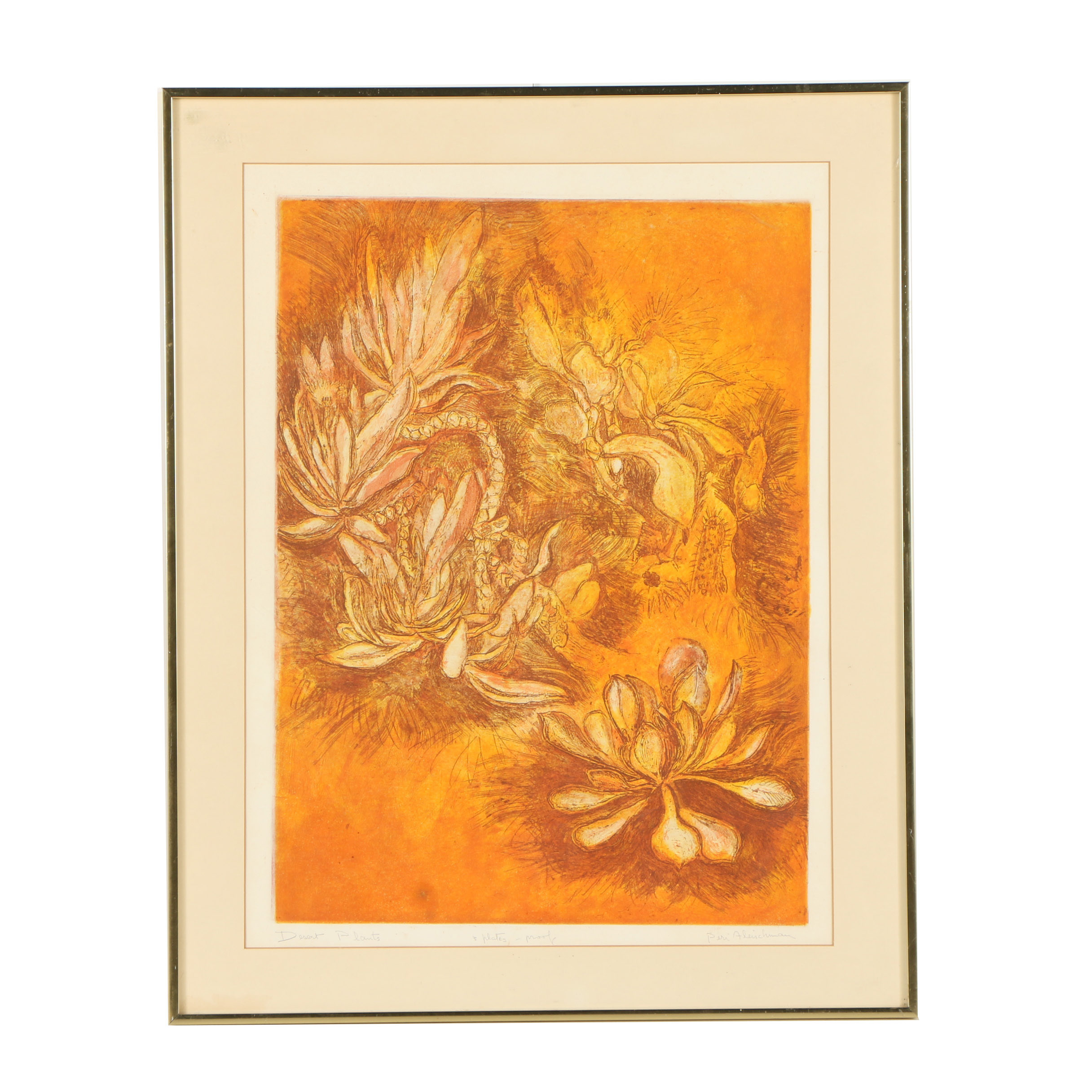 Peri Fleischman Etching with Aquatint "Desert Plants"