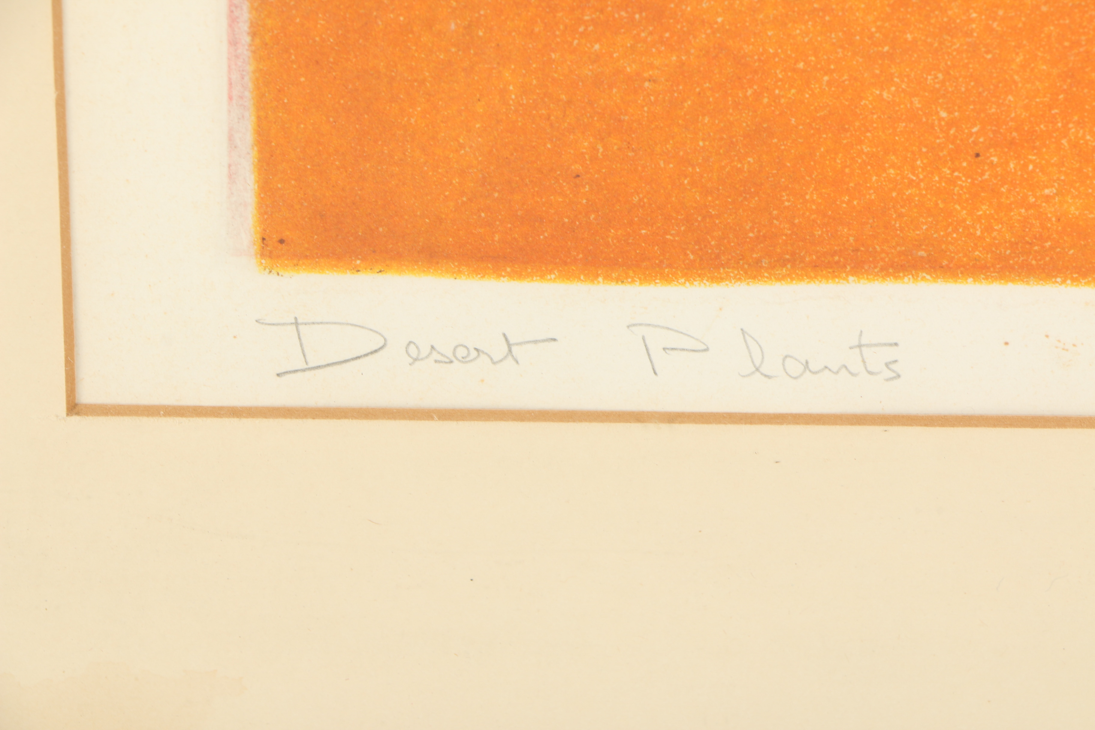 Peri Fleischman Etching with Aquatint "Desert Plants"