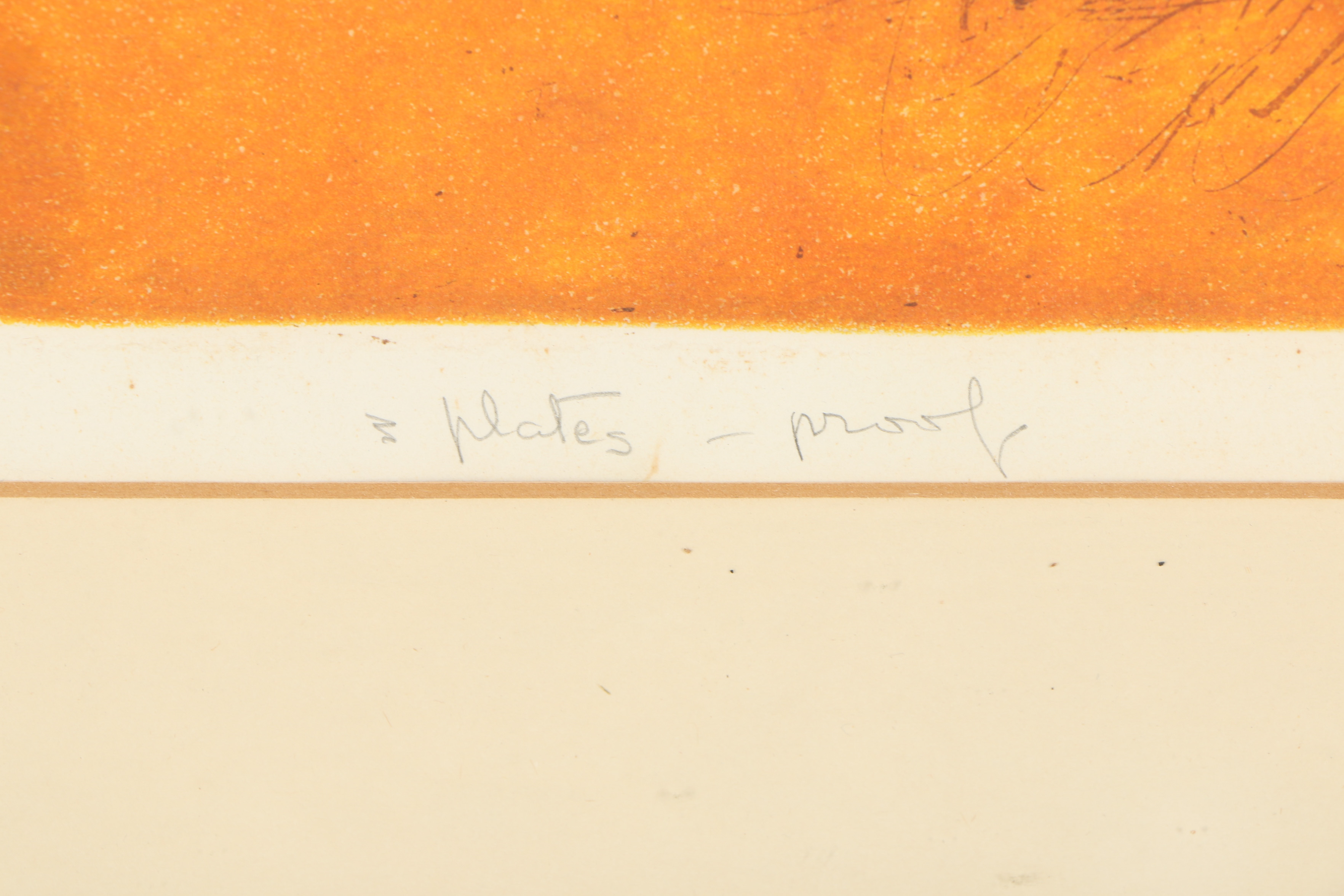 Peri Fleischman Etching with Aquatint "Desert Plants"