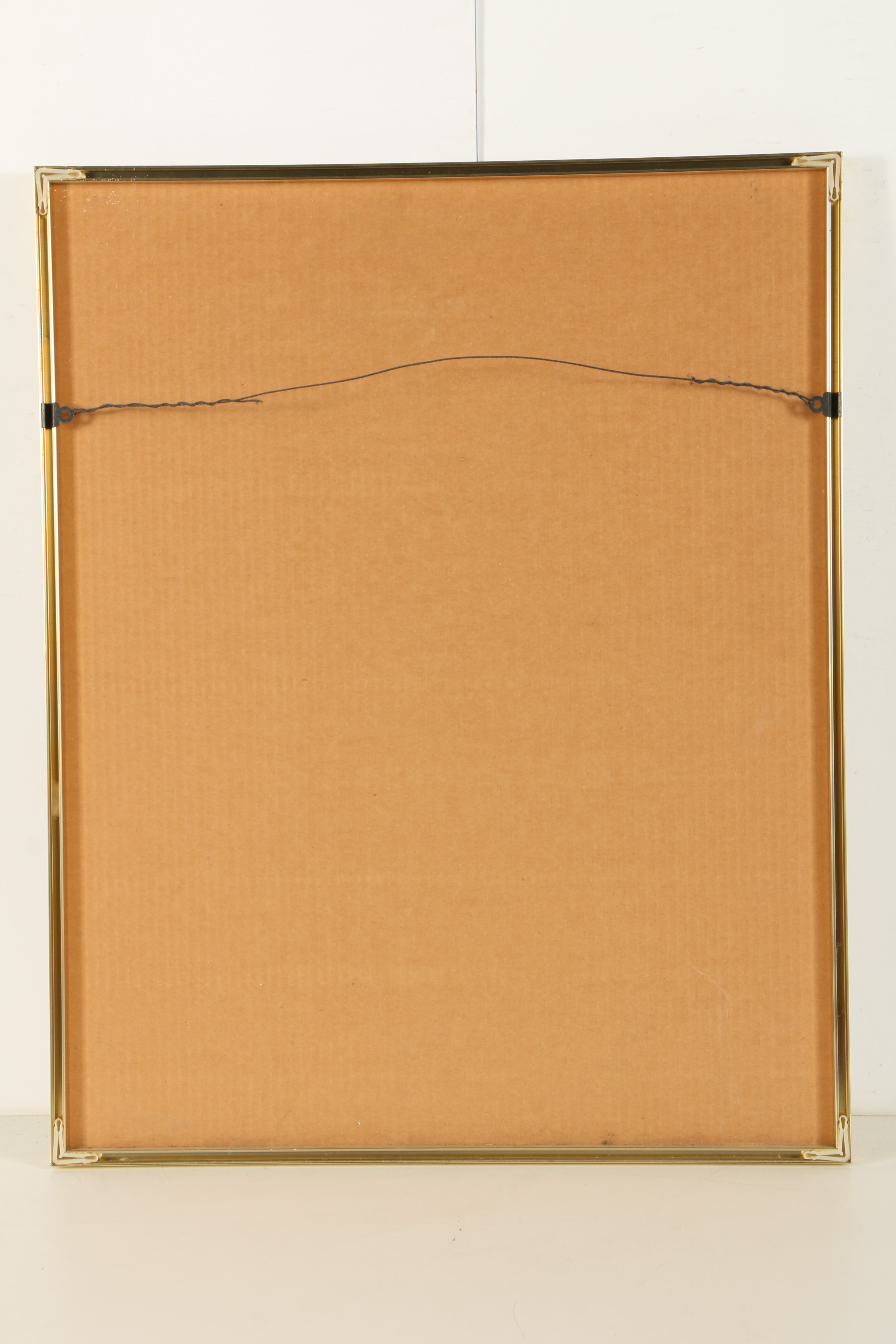 Peri Fleischman Etching with Aquatint "Desert Plants"