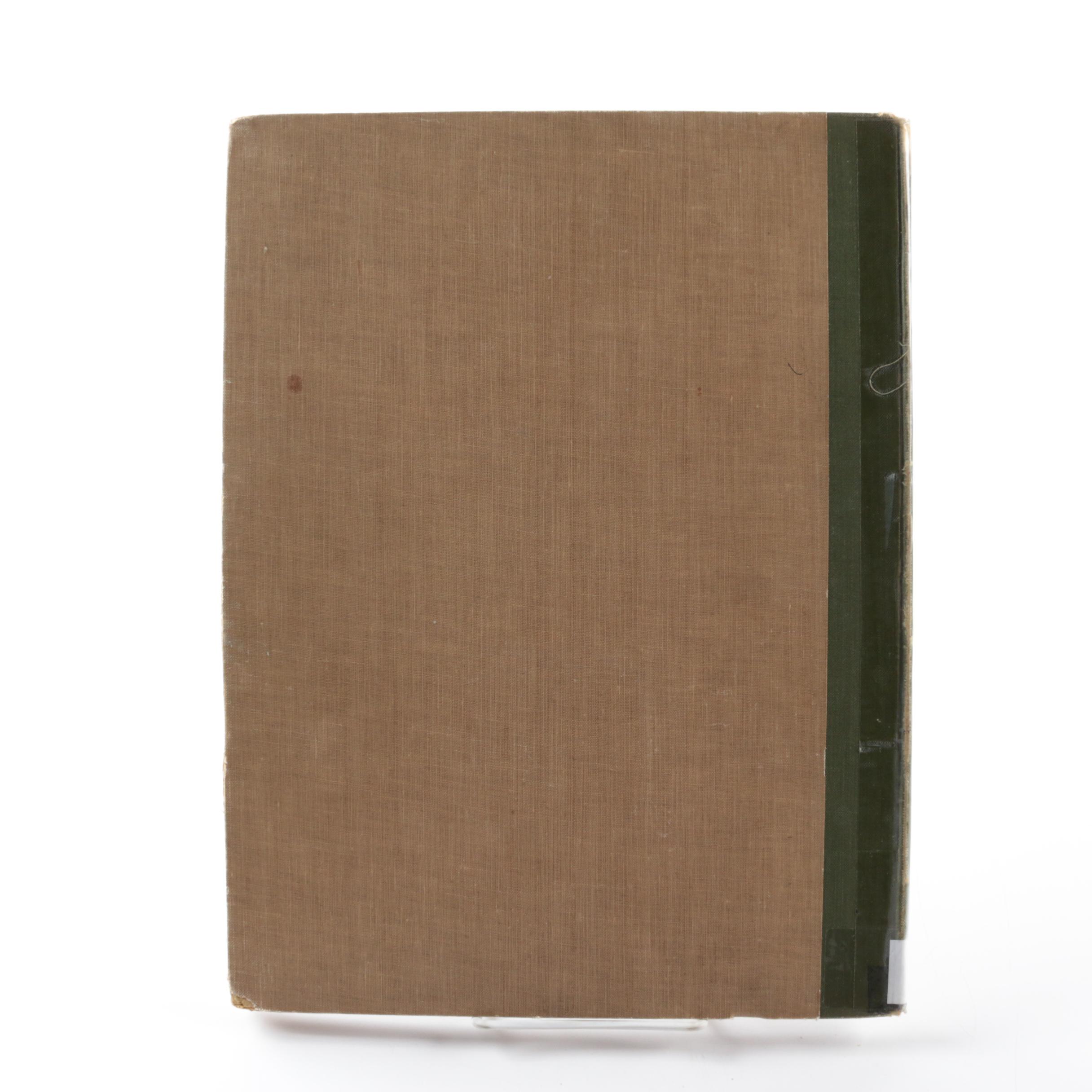 1903 "Nature's Laws and Making of Pictures" by W.L. Wyllie