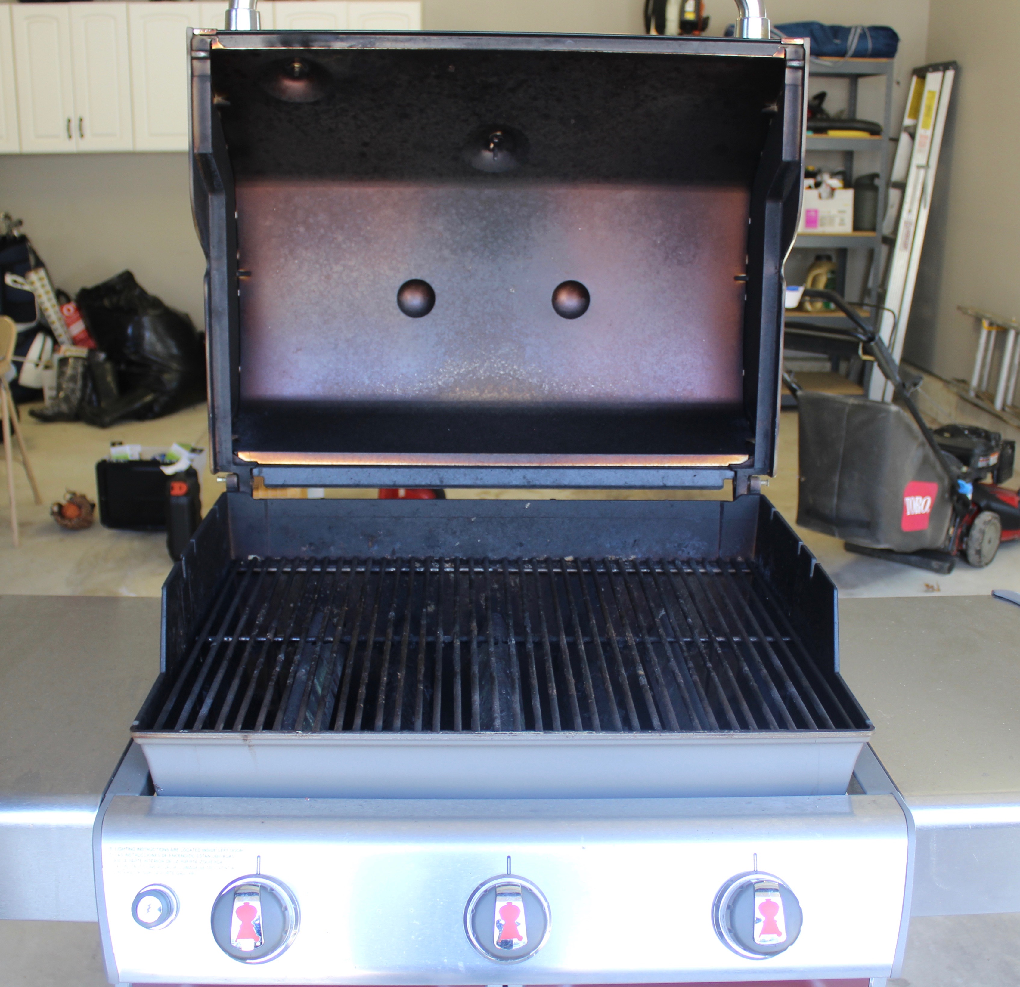 Weber Genesis Special Edition Outdoor Grill