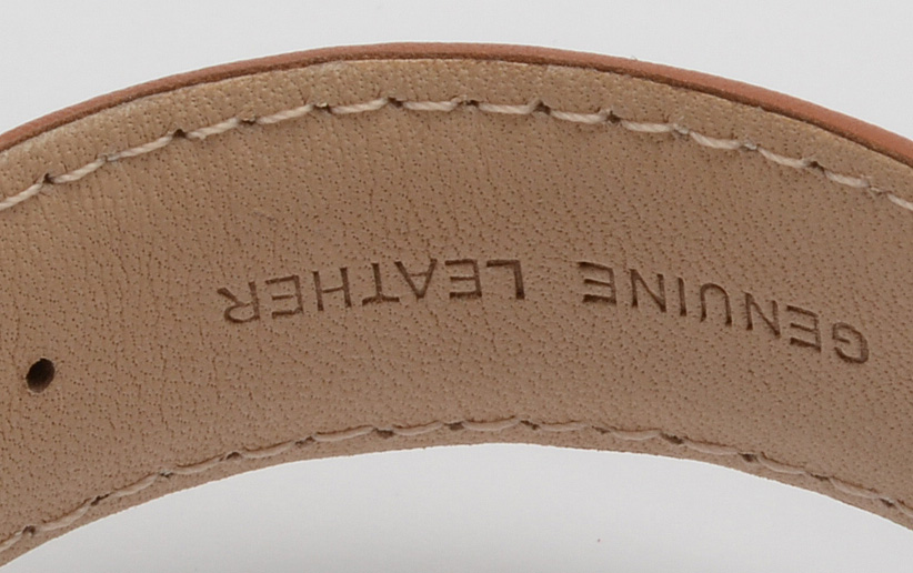 Stuhrling Skeleton Case Watch