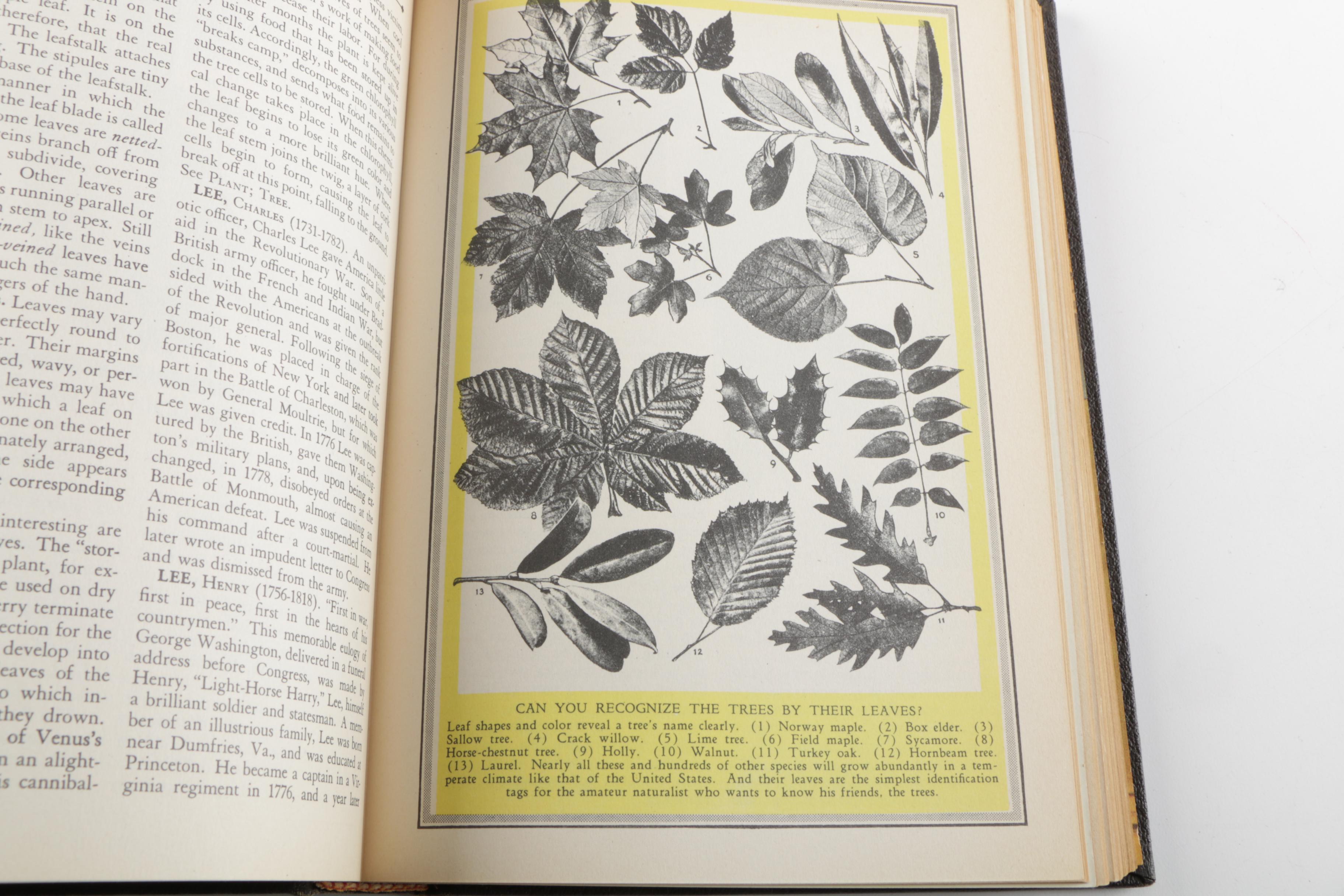 1945 "The Wonderland of Knowledge: A New Pictorial Encyclopedia" Volumes