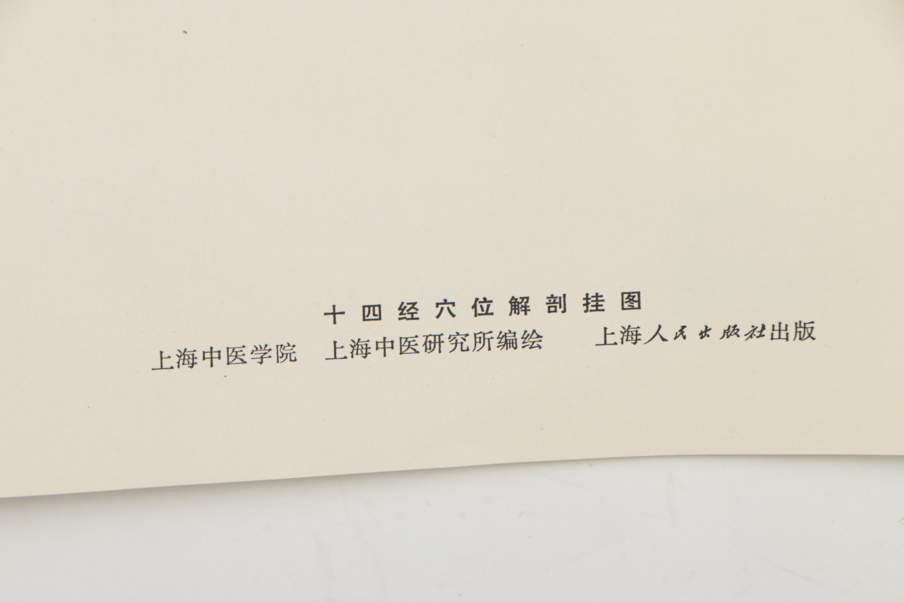 Offset Lithograph Poster of Anatomical Acupuncture Medical Chart