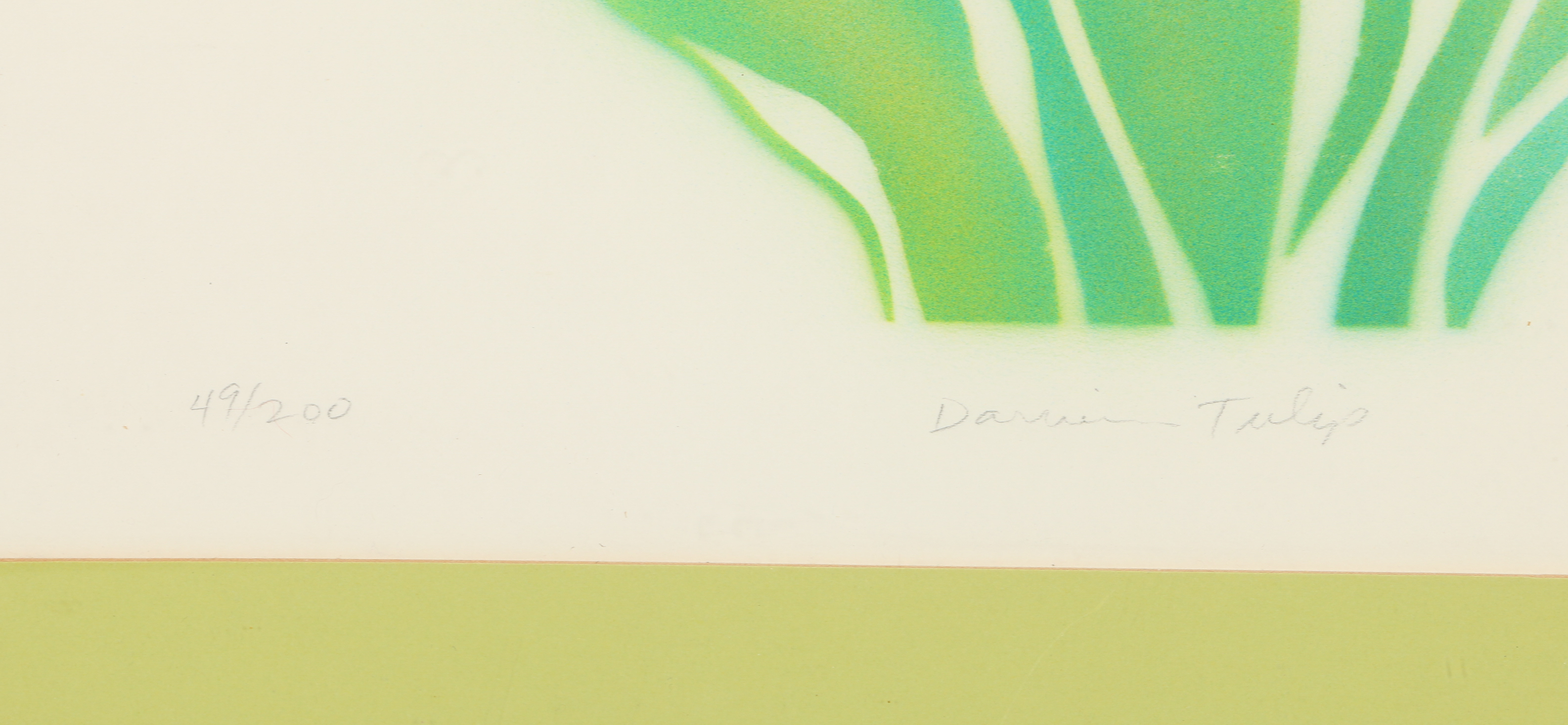 Two K. Wolff Stencil Prints Including "Darwin Tulip" and "Day Lily"