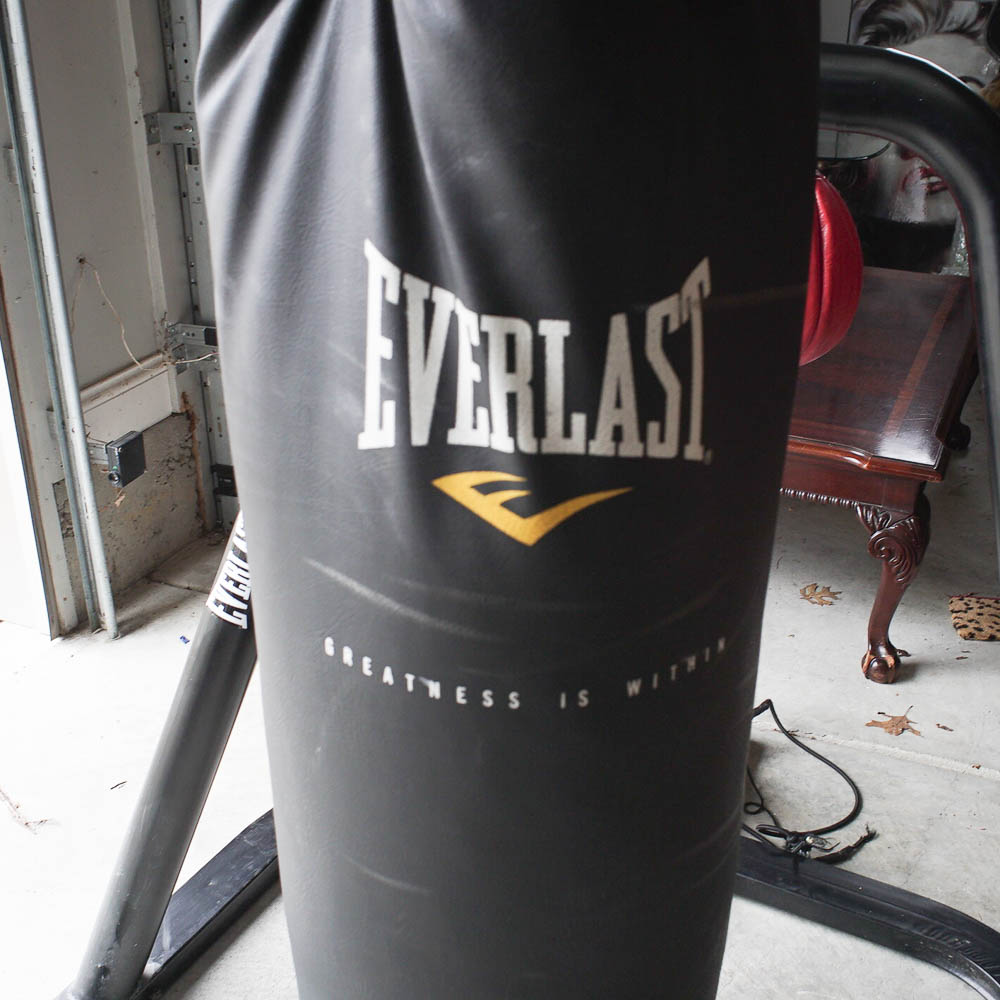 Everlast Dual Station Punching Bag Stand