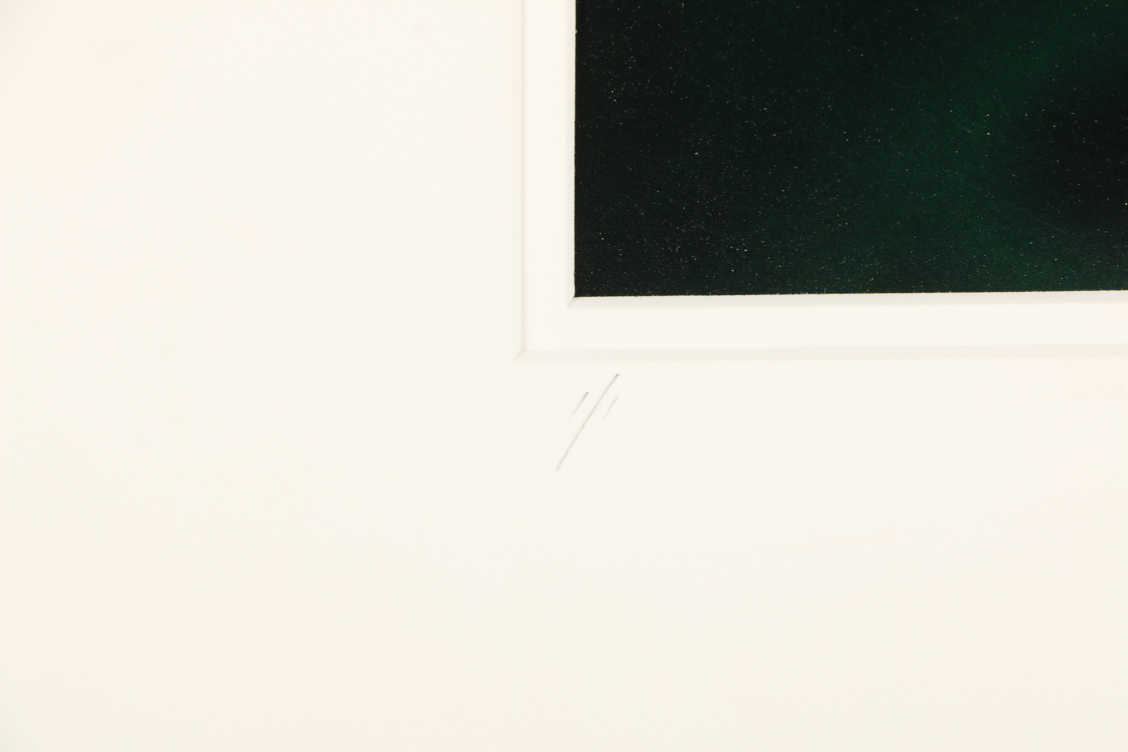 20th Century Color Photograph "Yellow Rose"