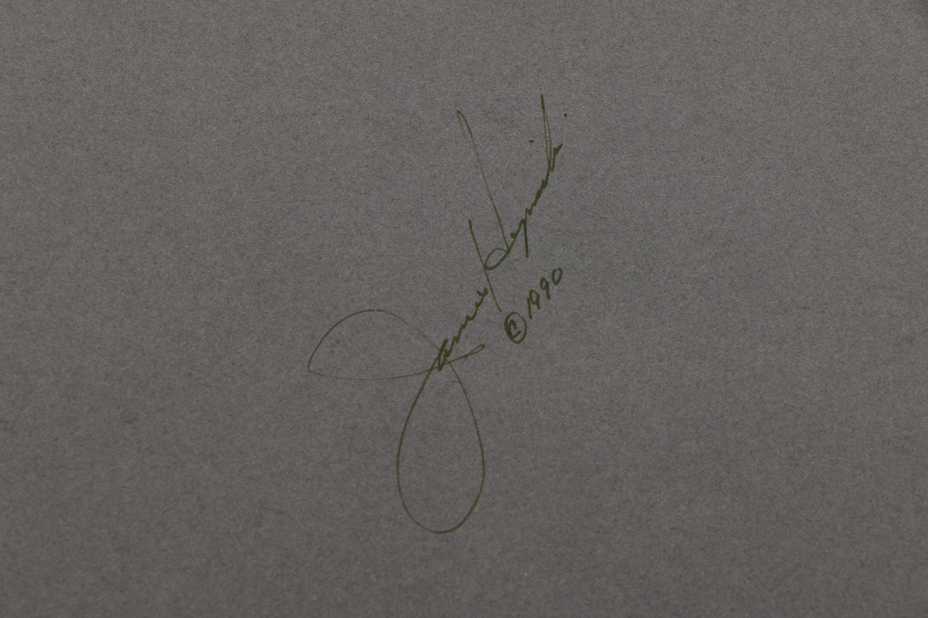 20th Century Color Photograph "Yellow Rose"