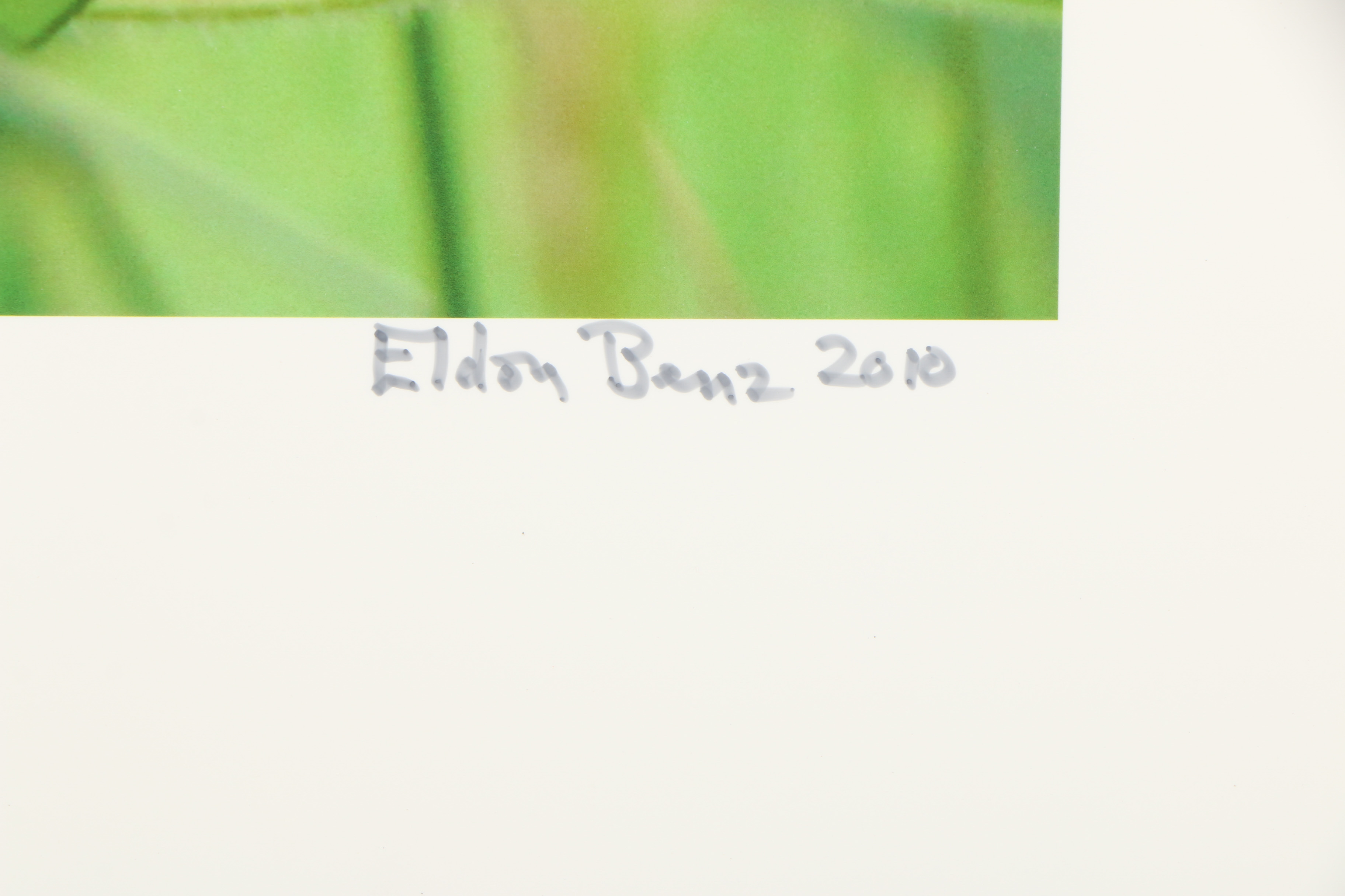 Eldon Benz Giclee "Butterfly on Butterfly Weed"