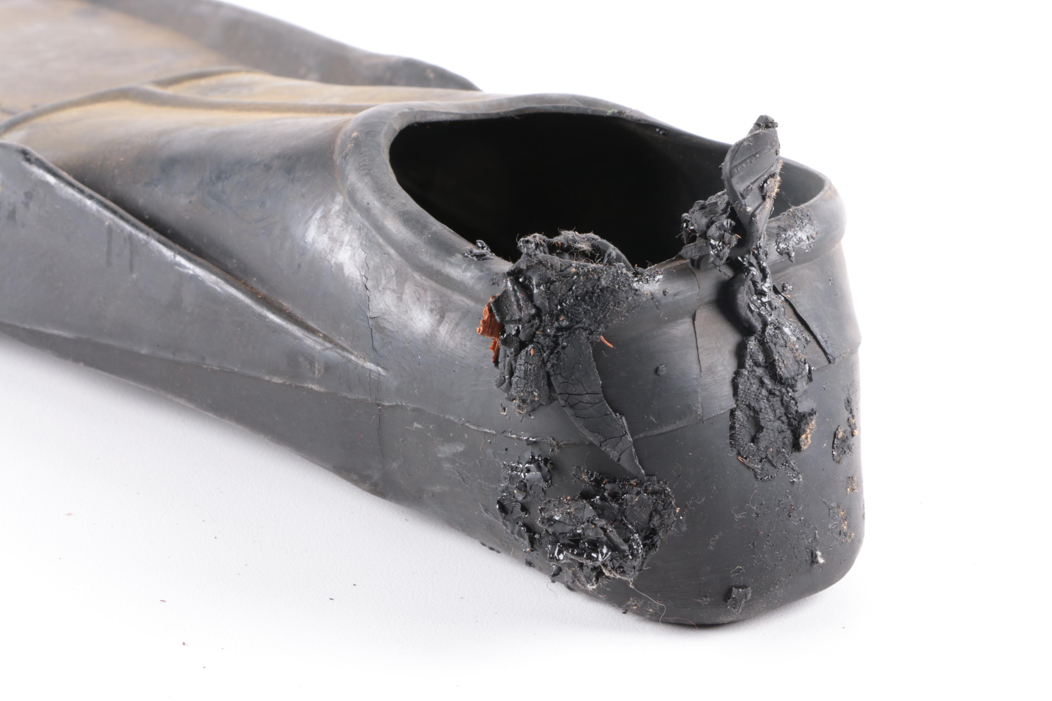 Canvas Backpack and Swim Fins