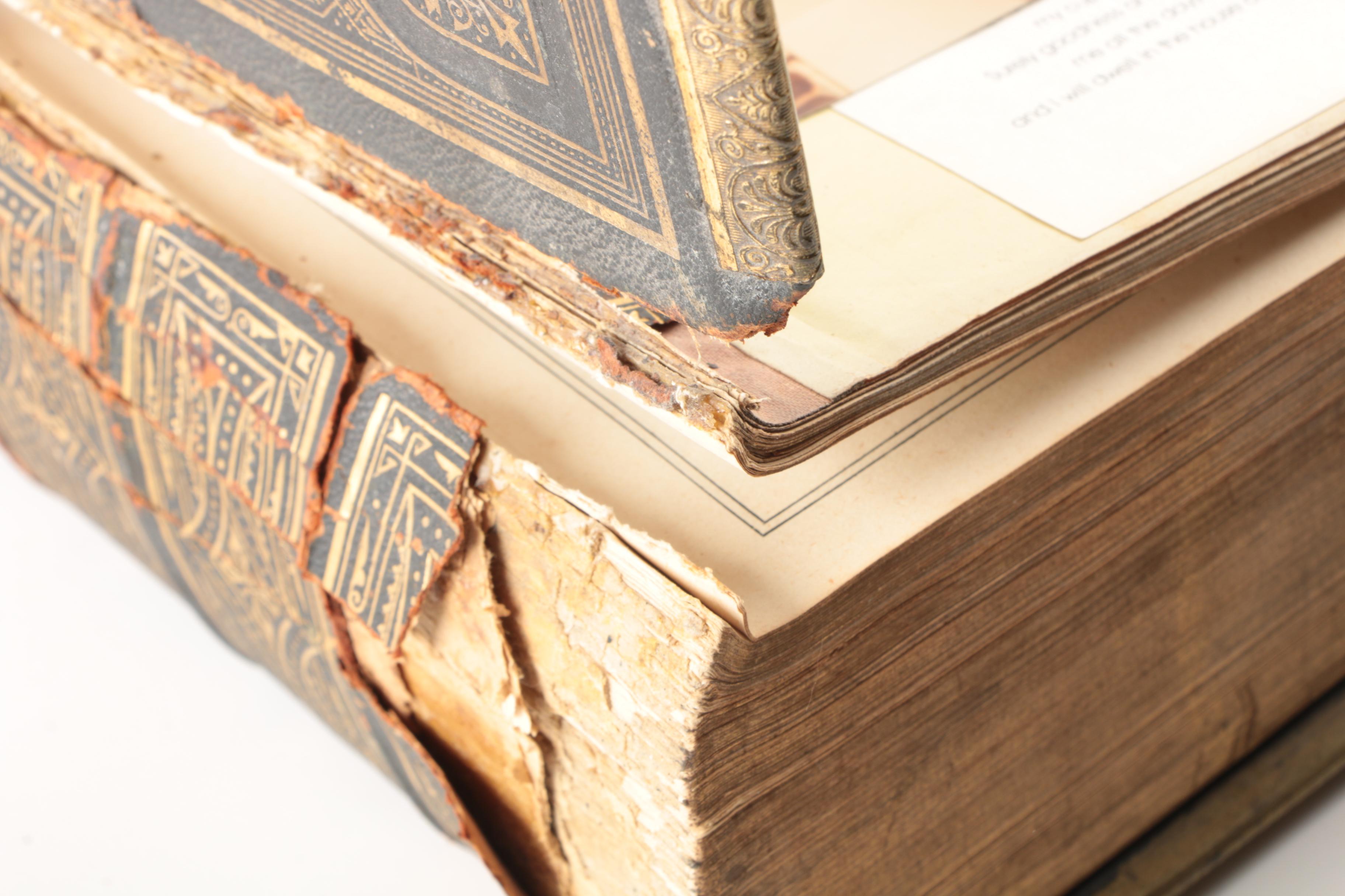 19th Century "The Self-Interpreting Family Bible"