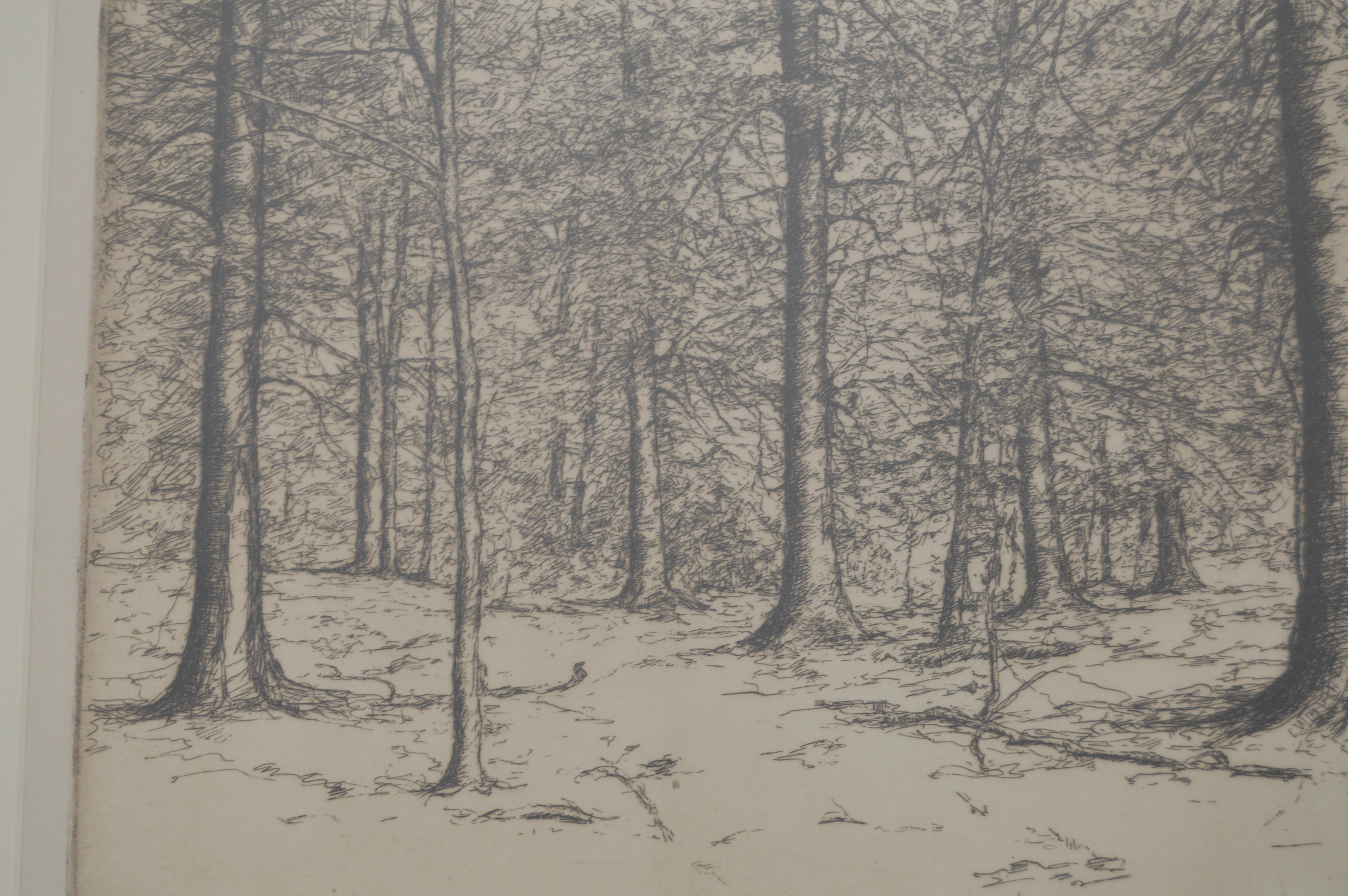 E.T. Hurley 1916 Signed Etching of Trees in a Forest